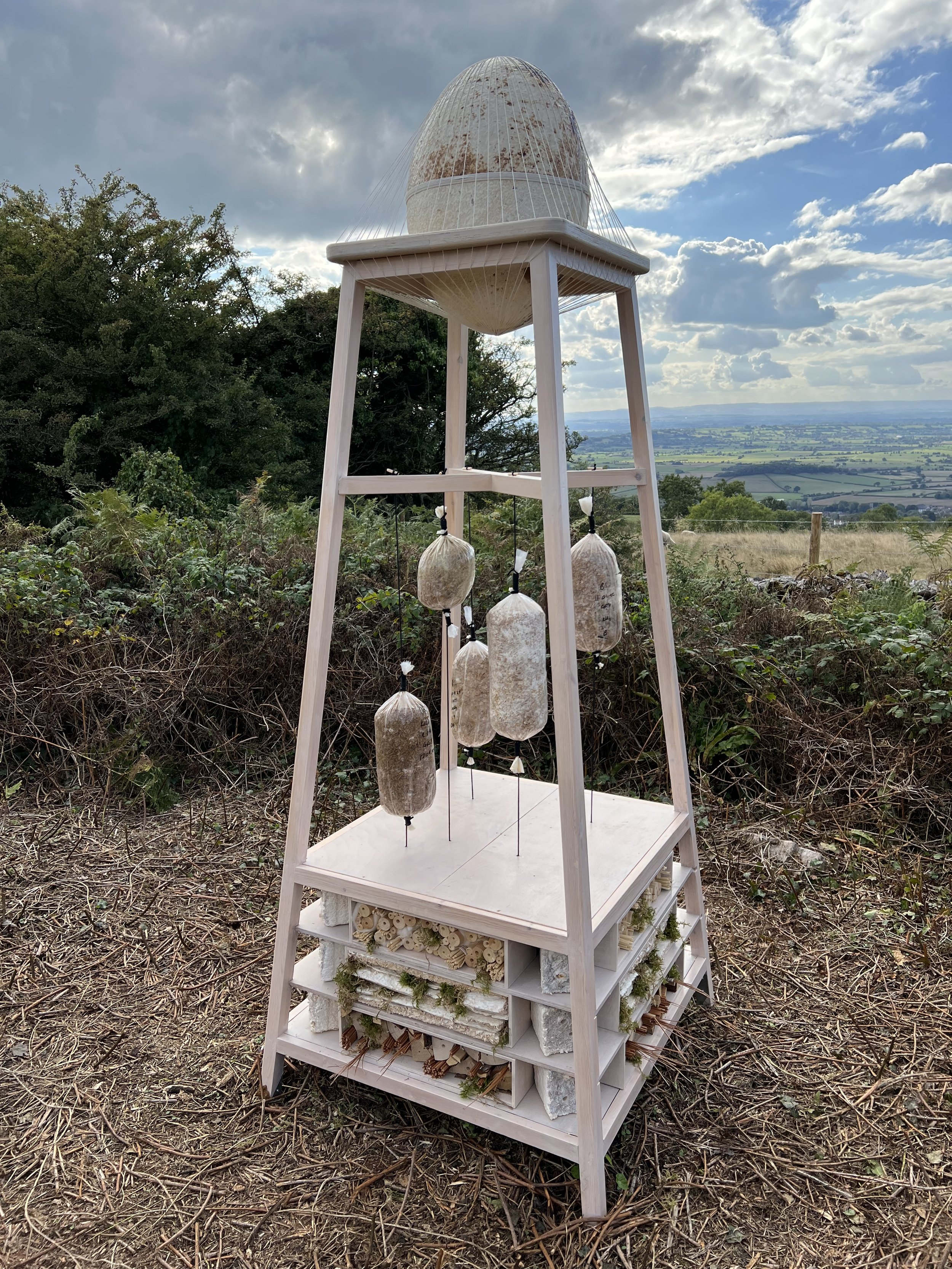  Kelly M O'Brien, Pollinator Sanctuary for Somerset Art Weeks 2022 at Deer Leap Nature Reserve (installation view) ©2022 