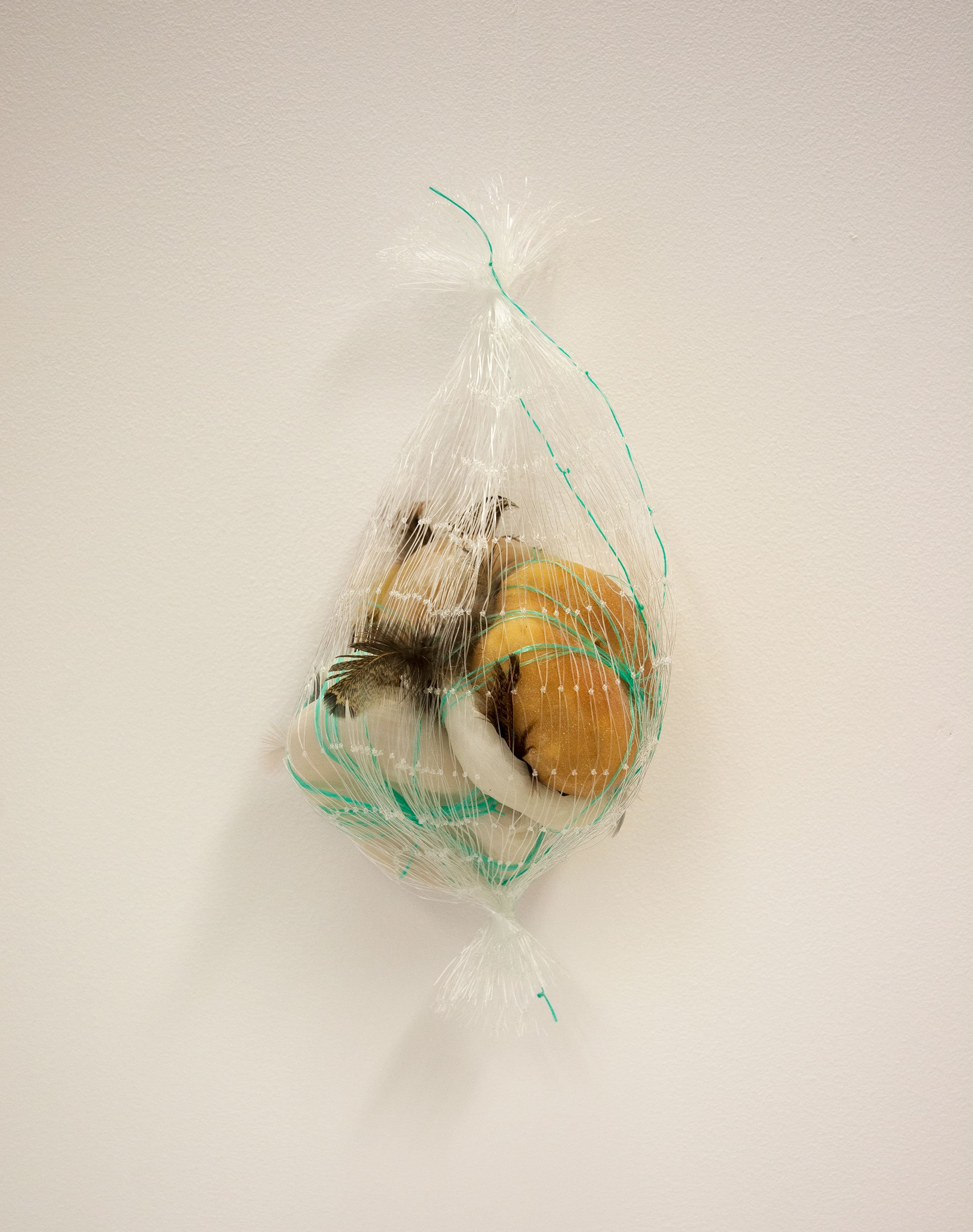  Kelly M O'Brien, One Meter Quadrat, suspended 4. Wax, latex, wool, feathers, bailing twine, bird net ©2021 