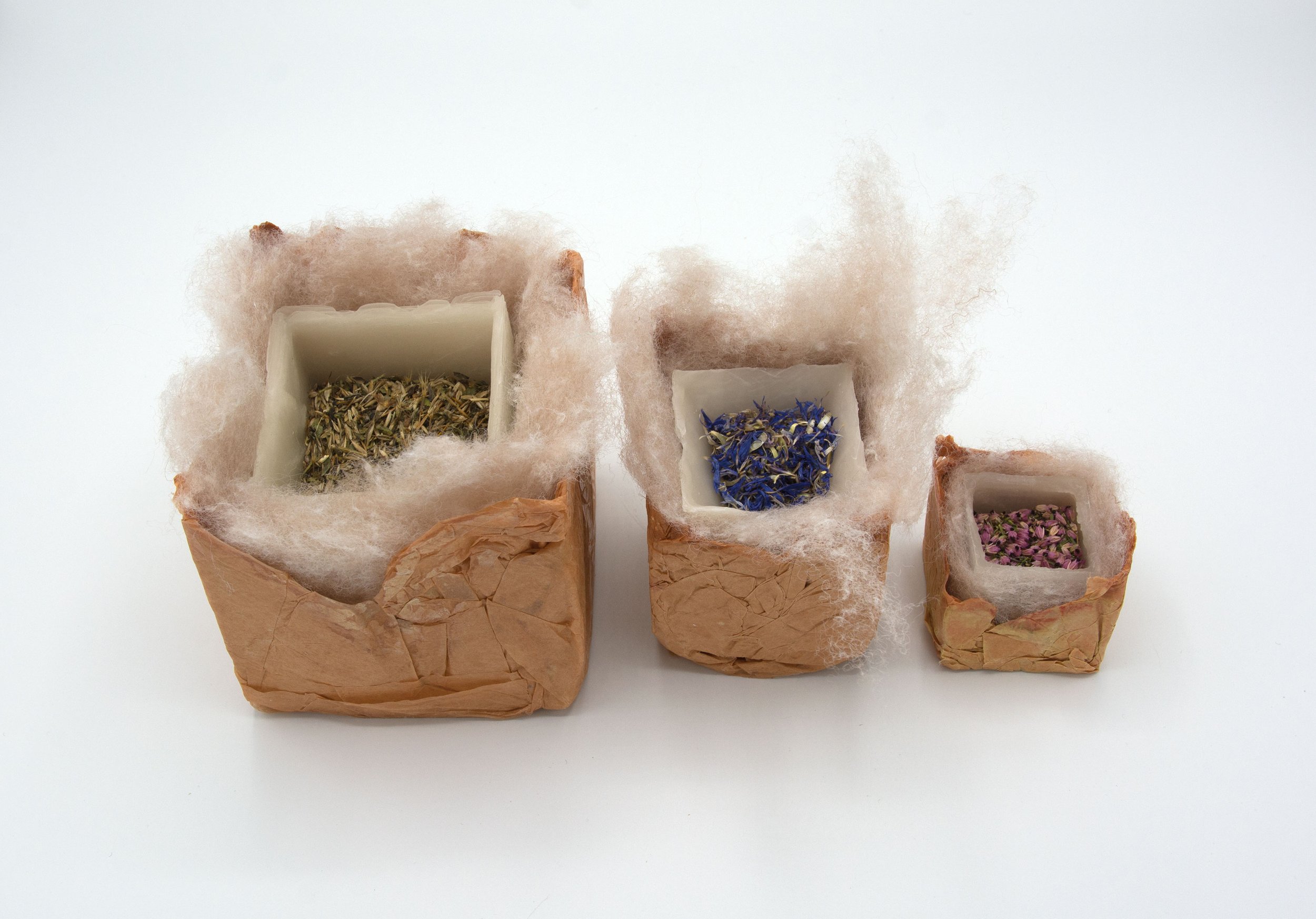  Kelly M O'Brien,  One Meter Quadrat, cube trio . Paper, wax, wool, wildflower seeds, seedheads ©2021 
