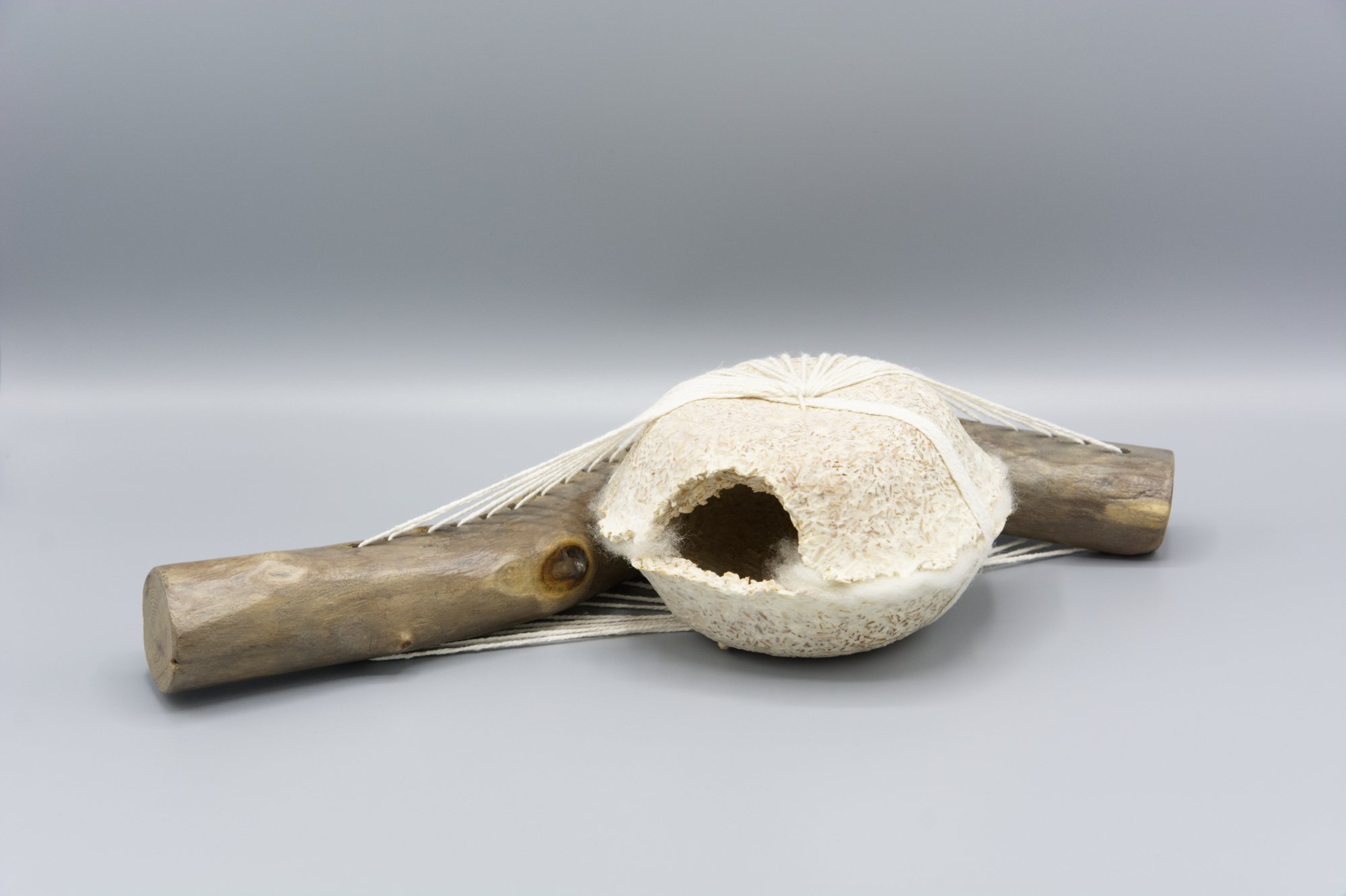 Kelly M O’Brien,  Re:matter . Foraged wood, cast mycelium, wool, cotton cord. 3 x 14 x 7 inches. ©2023 