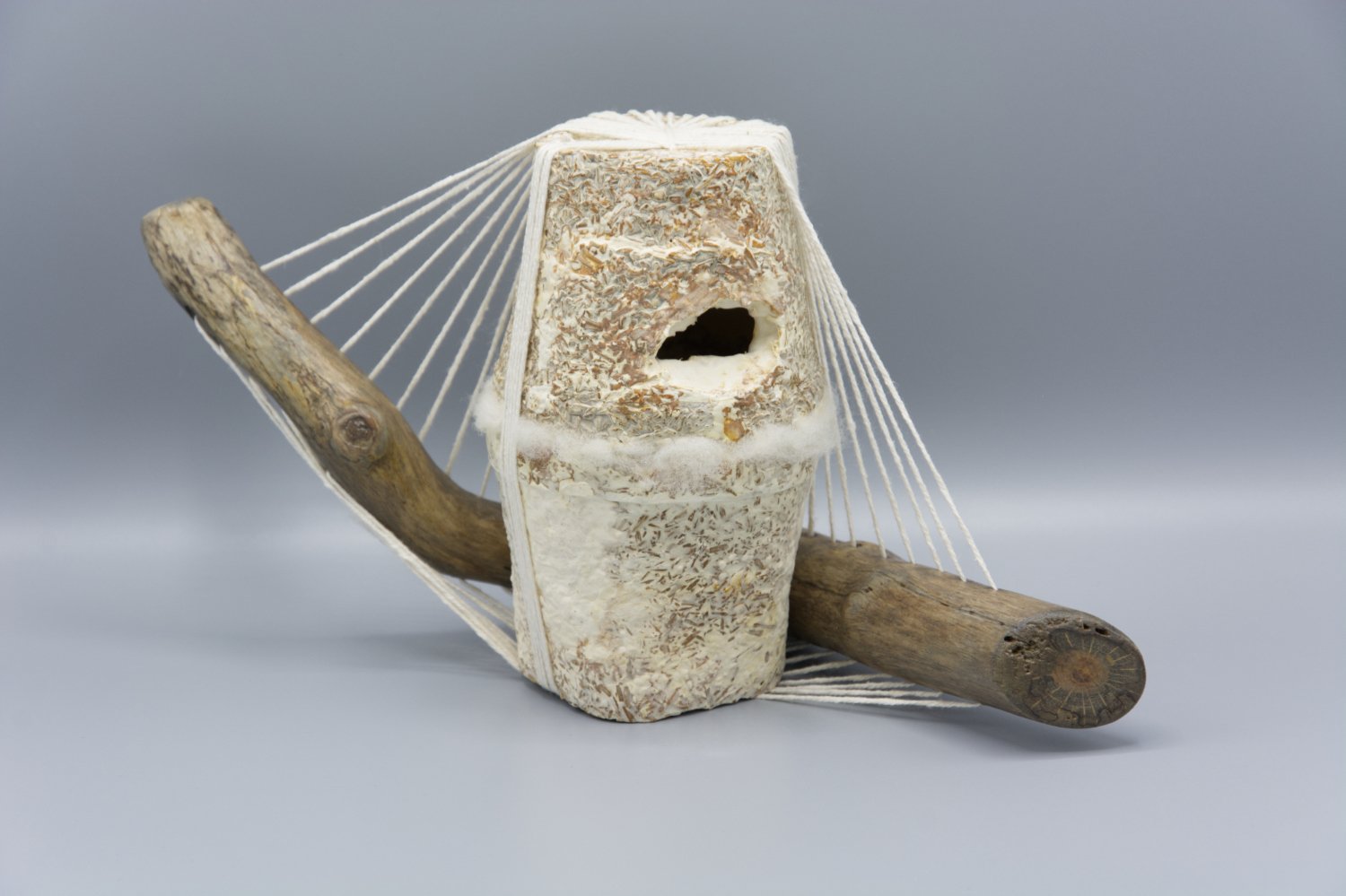  Kelly M O'Brien, As Well As Possible. Foraged wood, cast mycelium, wool, cotton cord. 5 x 12.5 x 6.5 inches. ©2023 