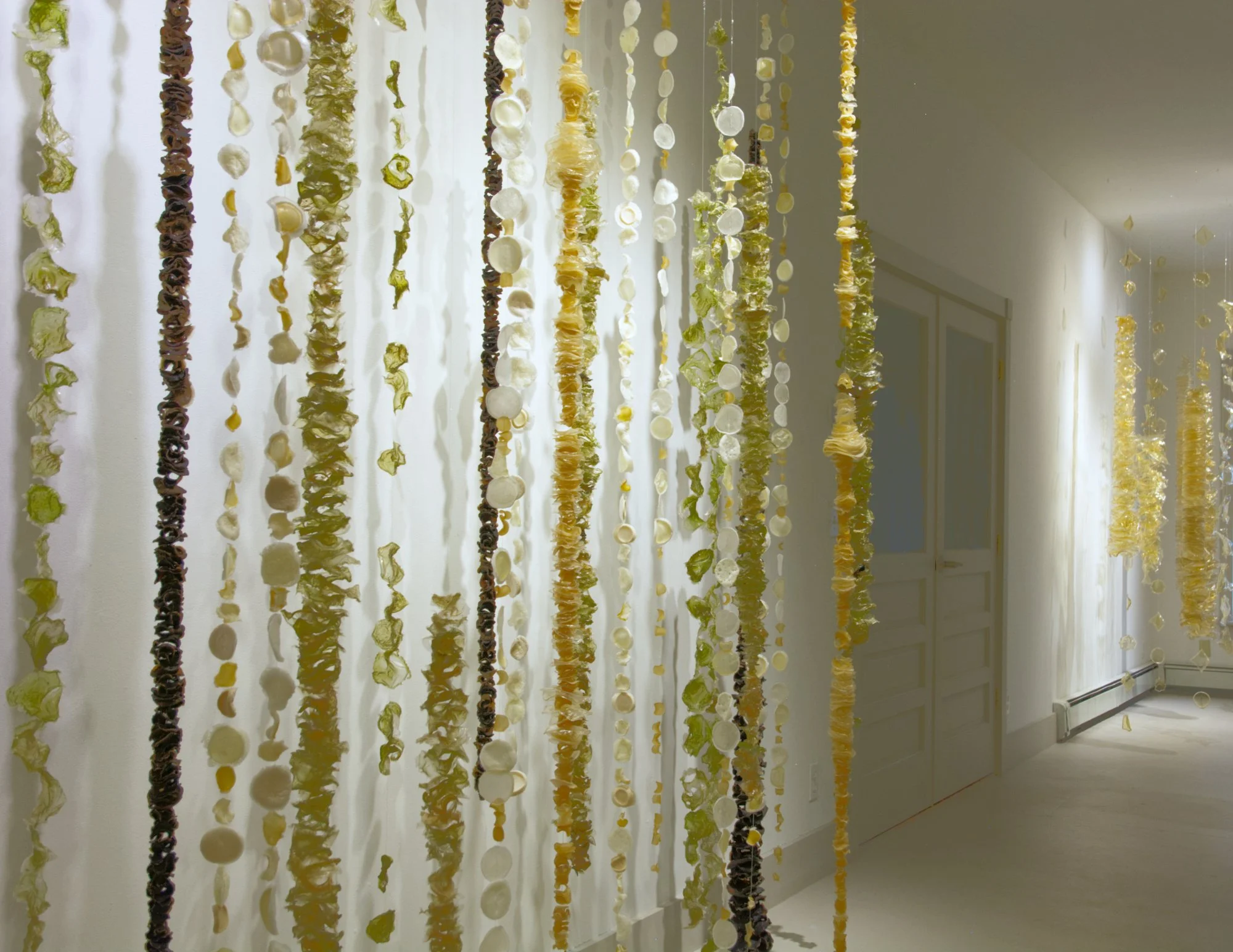  Kelly M O’Brien,  When We Are Among the Trees . Installation view, DVAA Gallery, Narrowsburg, NY. 2025 