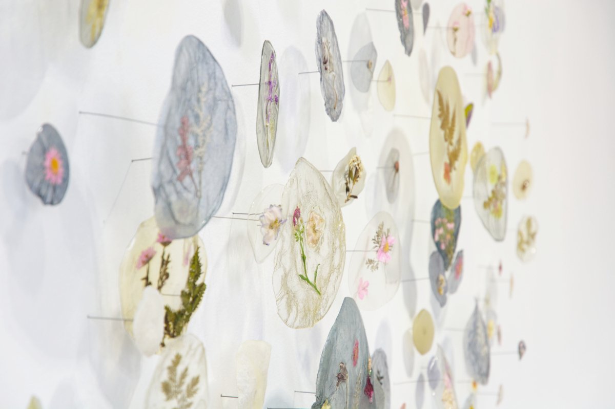  Kelly M&nbsp;O'Brien,  Botanica Lucida No. 1   (detail). Cast bioplastic, plant inclusions, steel wire mounts. 36 x 60 x 5 inches ©2025 