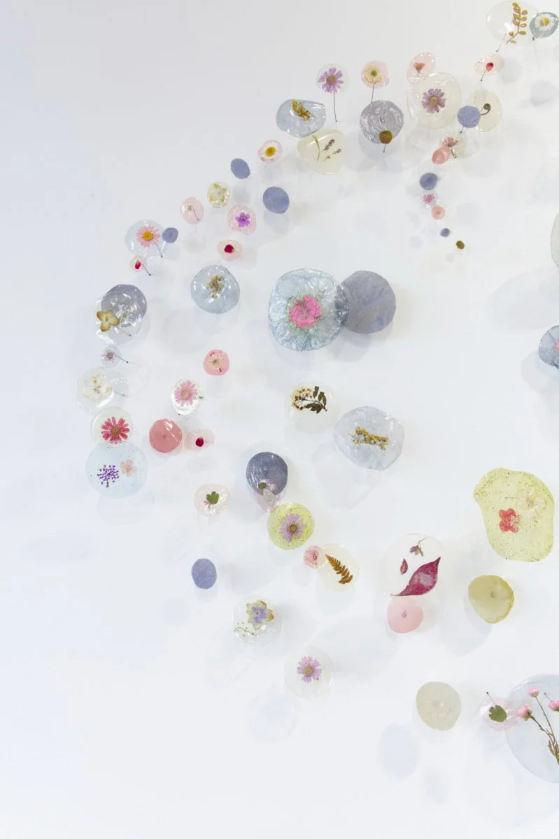  Kelly M&nbsp;O'Brien,  Botanica Lucida No. 1 . Cast bioplastic, plant inclusions, steel wire mounts. 36 x 60 x 5 inches ©2025 