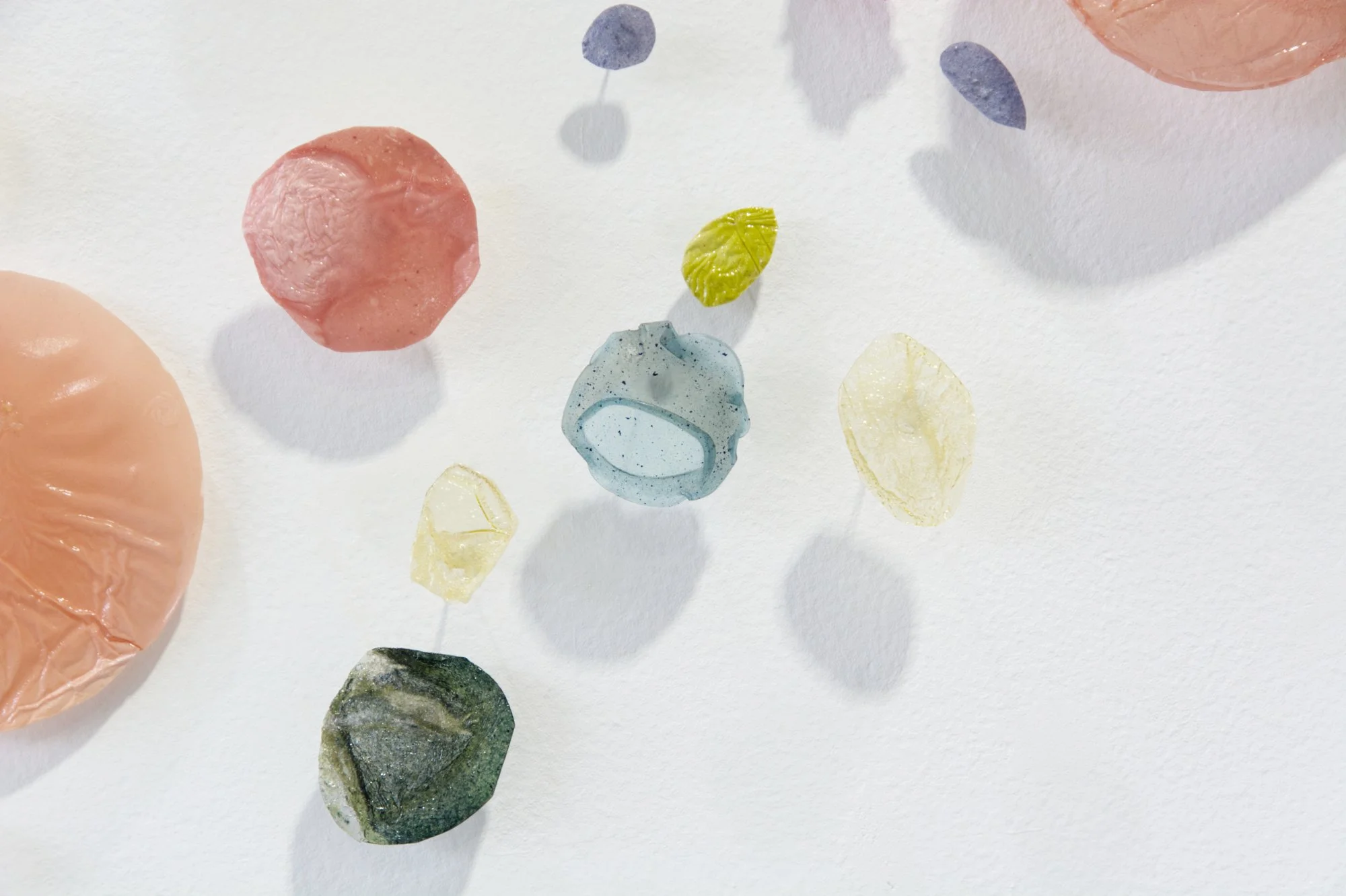  Kelly M O’Brien,  Botanica Lucida No. 2  (detail). Cast natural polymer bioplastic, steel wire mounts. 42h × 100w x 2d inches ©2026 