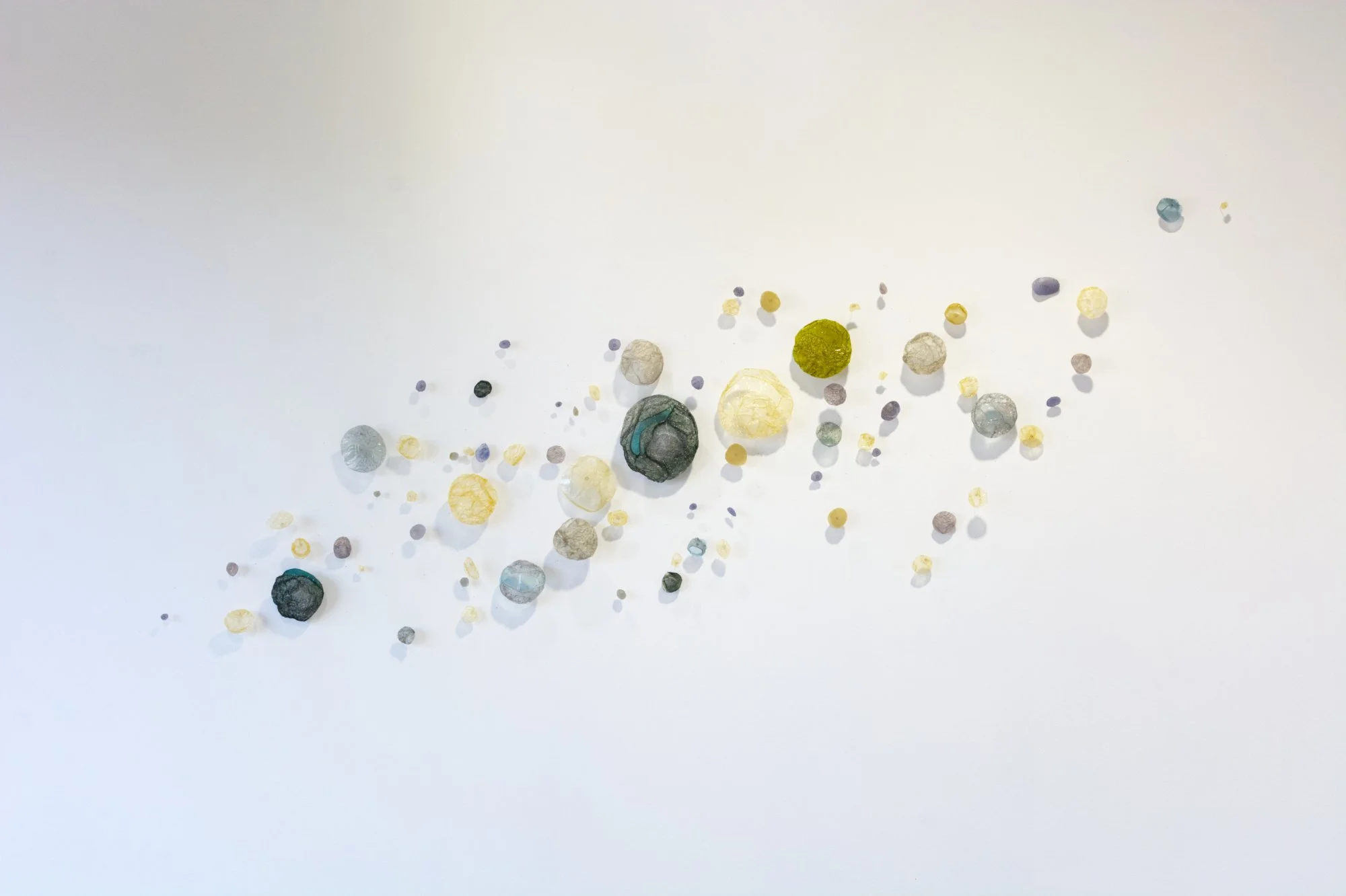  Kelly M O’Brien,  Botanica Lucida No. 3 . Cast natural polymer bioplastic, steel wire mounts. 40h × 72w x 2d inches ©2026 