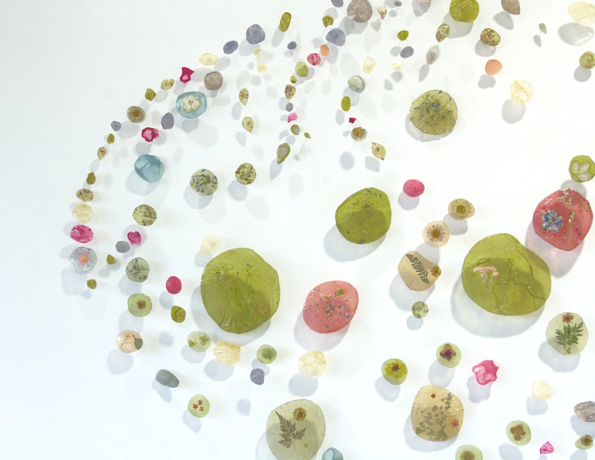  Kelly M&nbsp;O'Brien,  Botanica Lucida No. 4 . Cast natural polymer bioplastic, plant inclusions, steel wire mounts. 40 × 72 × 3 inches ©2025. Roger Tory Peterson Institute 