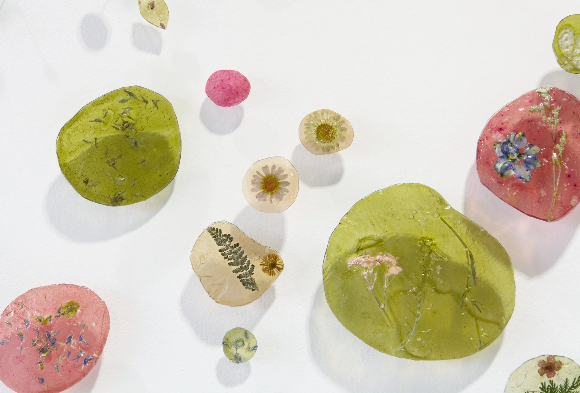  Kelly M&nbsp;O'Brien,  Botanica Lucida No. 4 . Cast natural polymer bioplastic, plant inclusions, steel wire mounts. 40 × 72 × 3 inches ©2025. Roger Tory Peterson Institute 