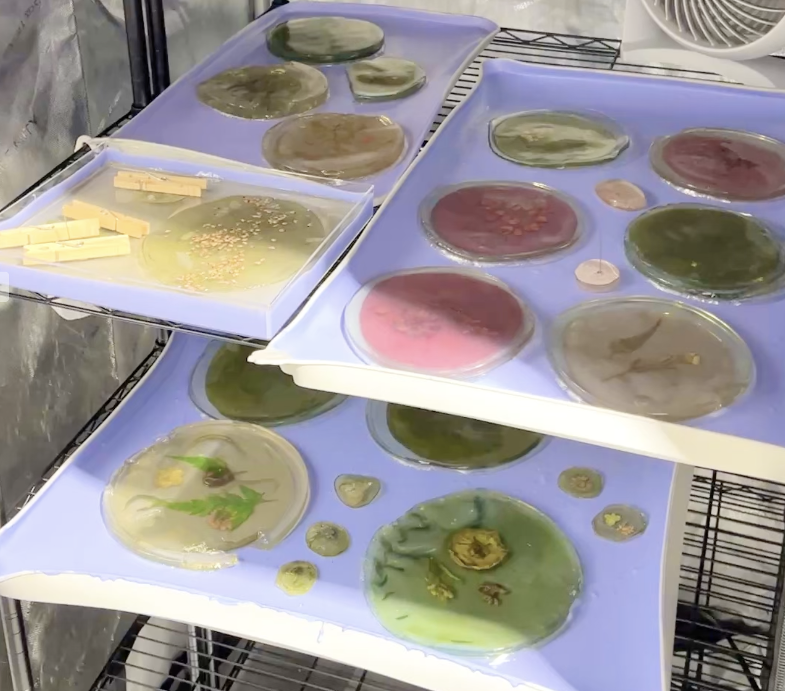  Once stable, the elements are removed from their molds and further dried in a tent with controlled temperature and humidity. 