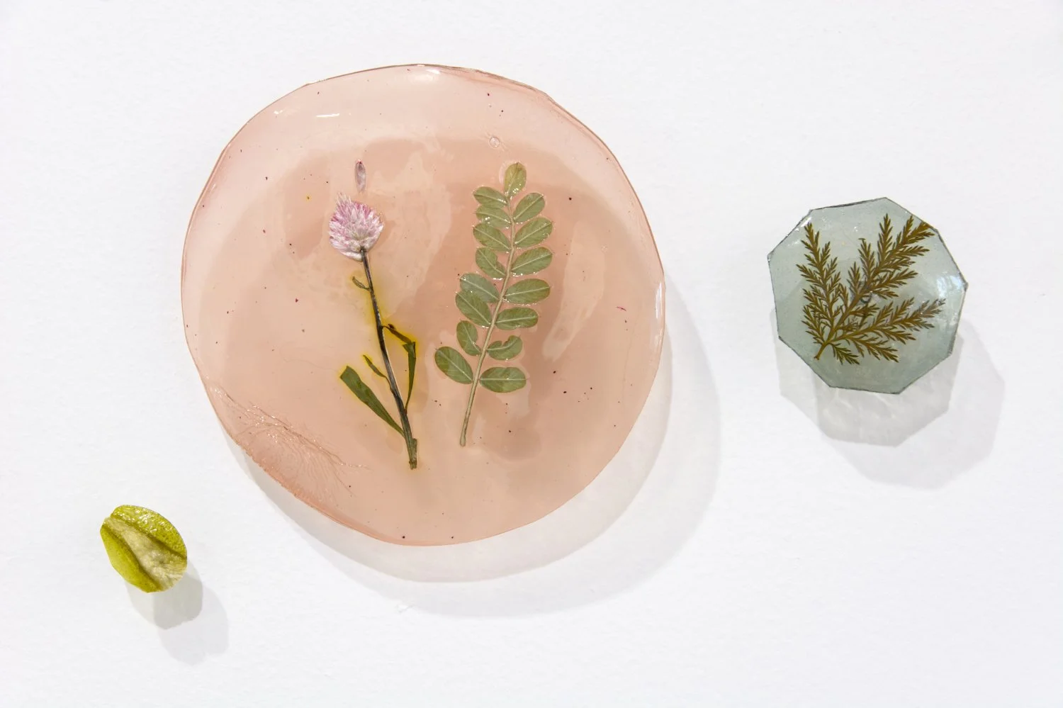  Kelly M O’Brien,  Botanica Lucida No. 5  (detail). Cast natural polymer bioplastic, plant inclusions, steel wire mounts. 84 x 84 inches ©2026  