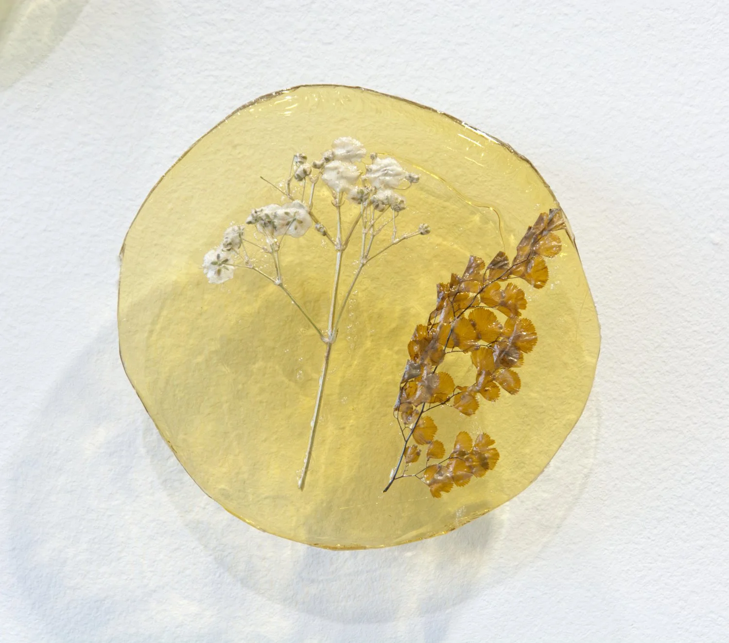  Kelly M O’Brien,  Botanica Lucida No. 5  (detail). Cast natural polymer bioplastic, plant inclusions, steel wire mounts. 84 x 84 inches ©2026  