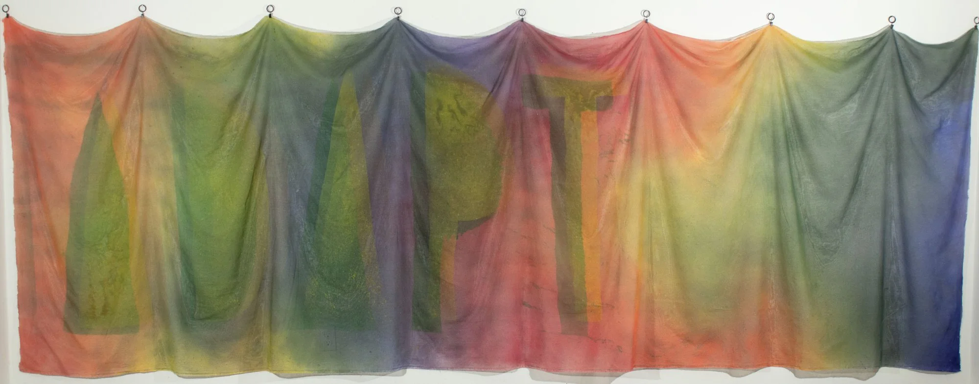  Hovey Brock.  Adapt.  Ethically sourced acrylics on cheesecloth. 16' x 62" 2026 