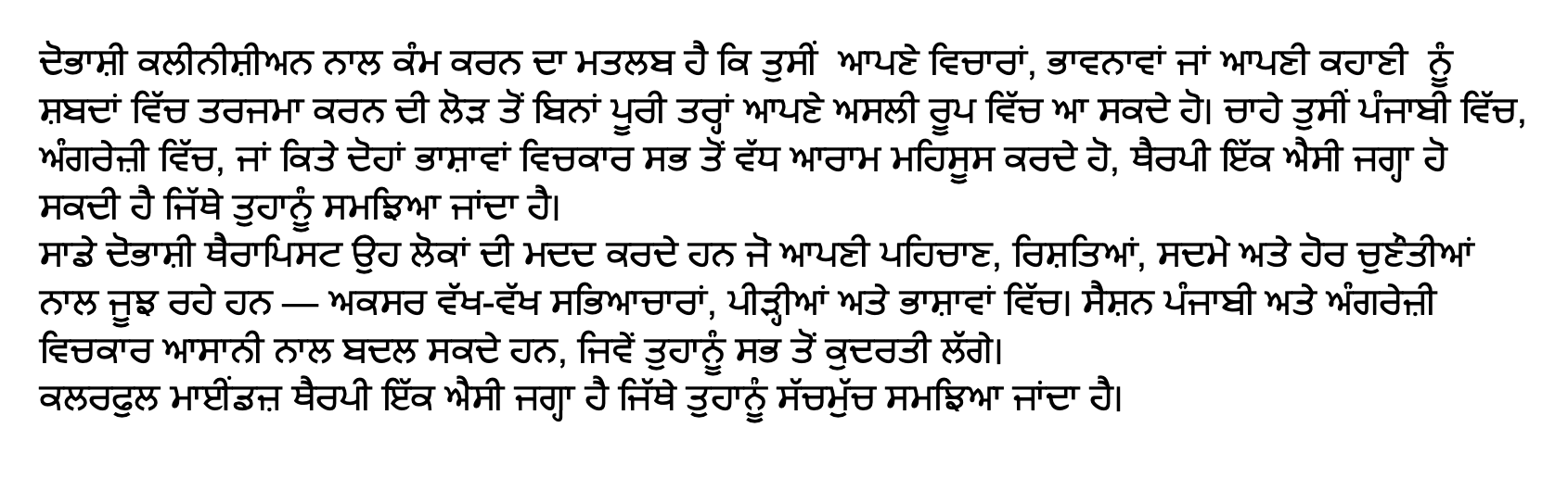 An image of Punjabi text that is a translation of the text in English and Spanish on this page.