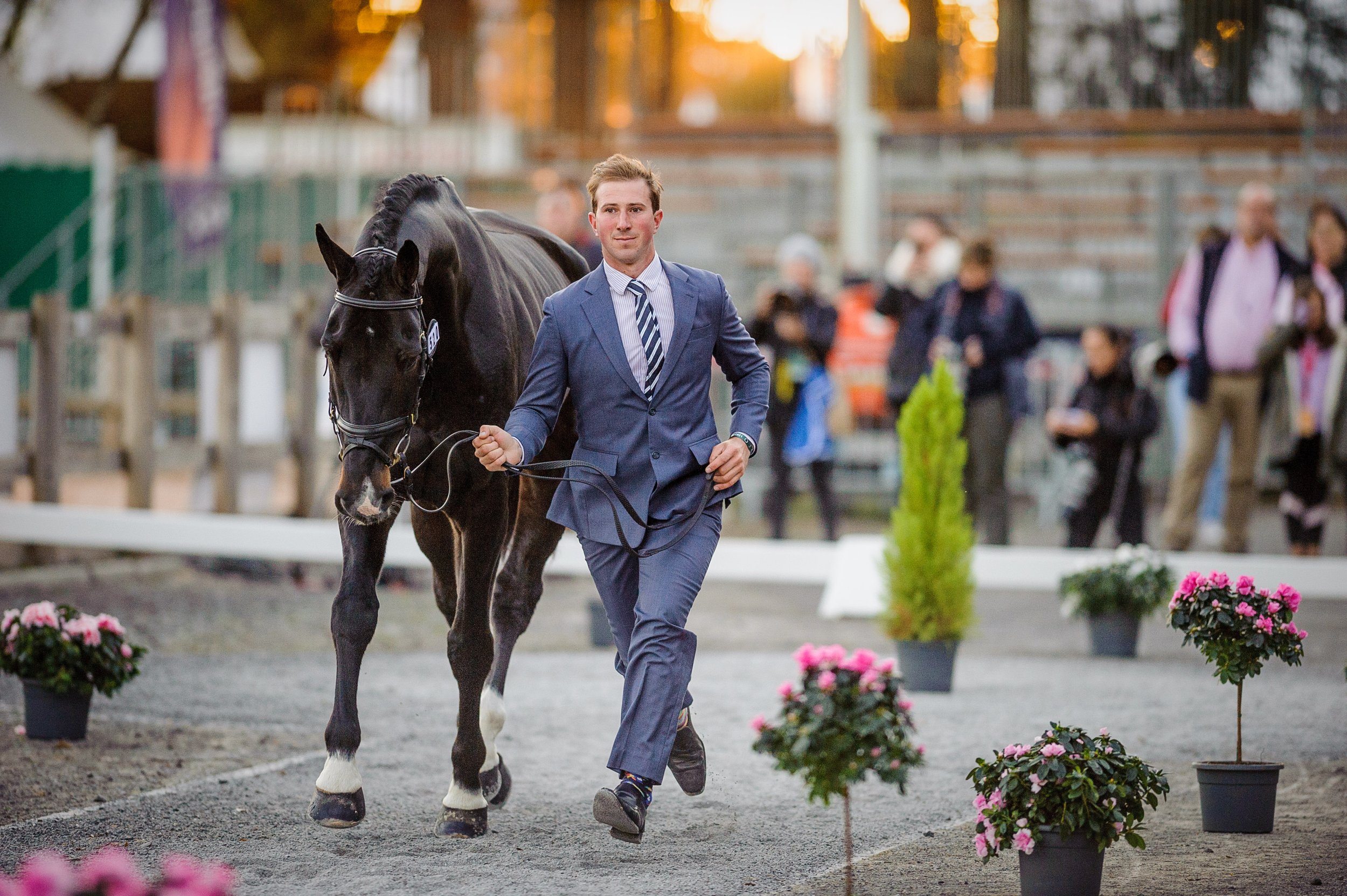 David and Galileo Nieuwmoed strut their stuff at the final horse inspection at Les 5 Étoiles de Pau in 2021. // Photo taken by Tilly Berendt, kindly supplied by Horse & Country.