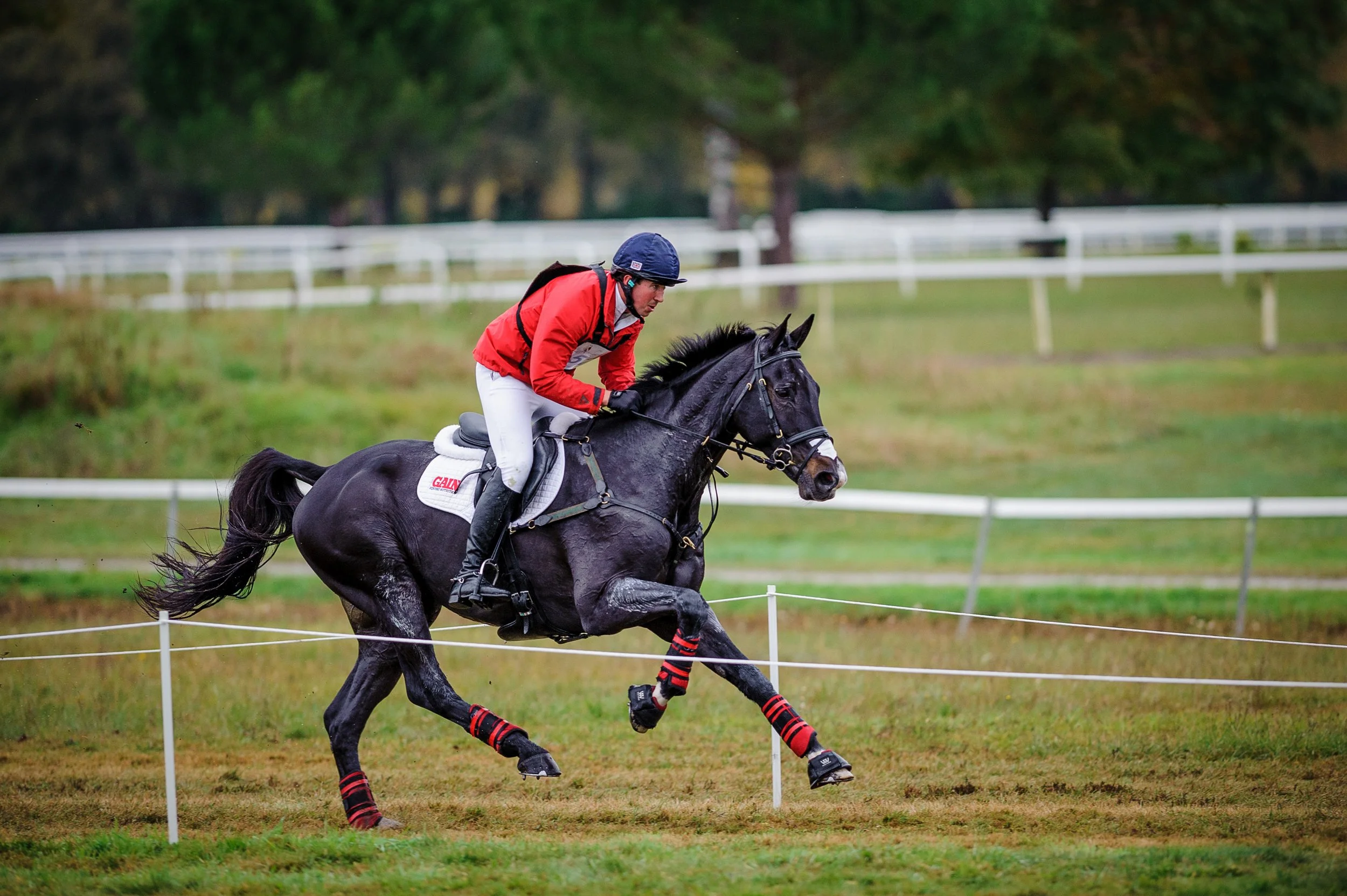 David and Galileo Nieuwmoed securing their place as leaders before the showjumping at Les 5 Étoiles de Pau 2022. 

// Photo taken by Tilly Berendt, kindly supplied by Horse & Country.