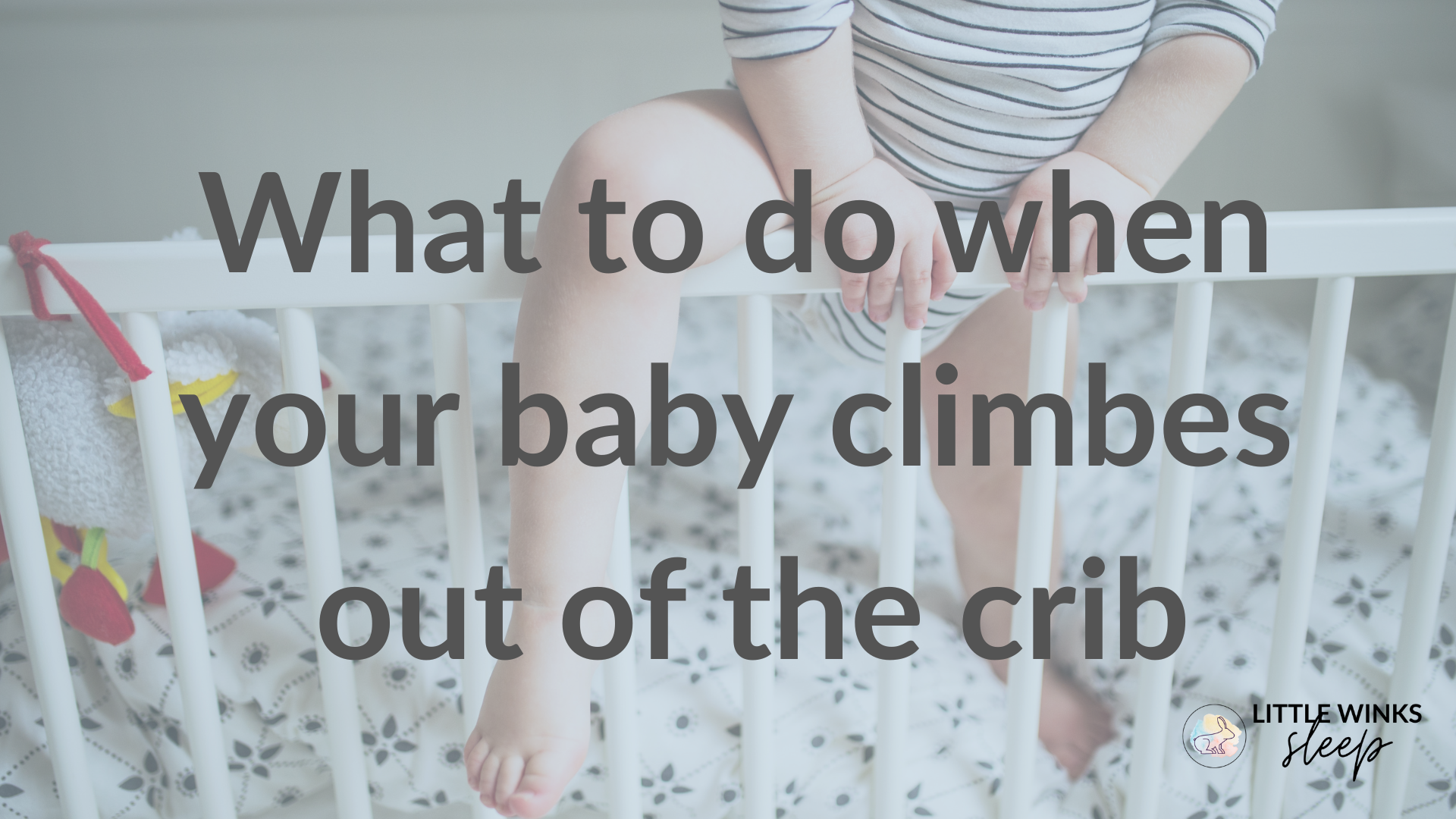 What to do when your baby climbs out of the crib — Little Winks Sleep