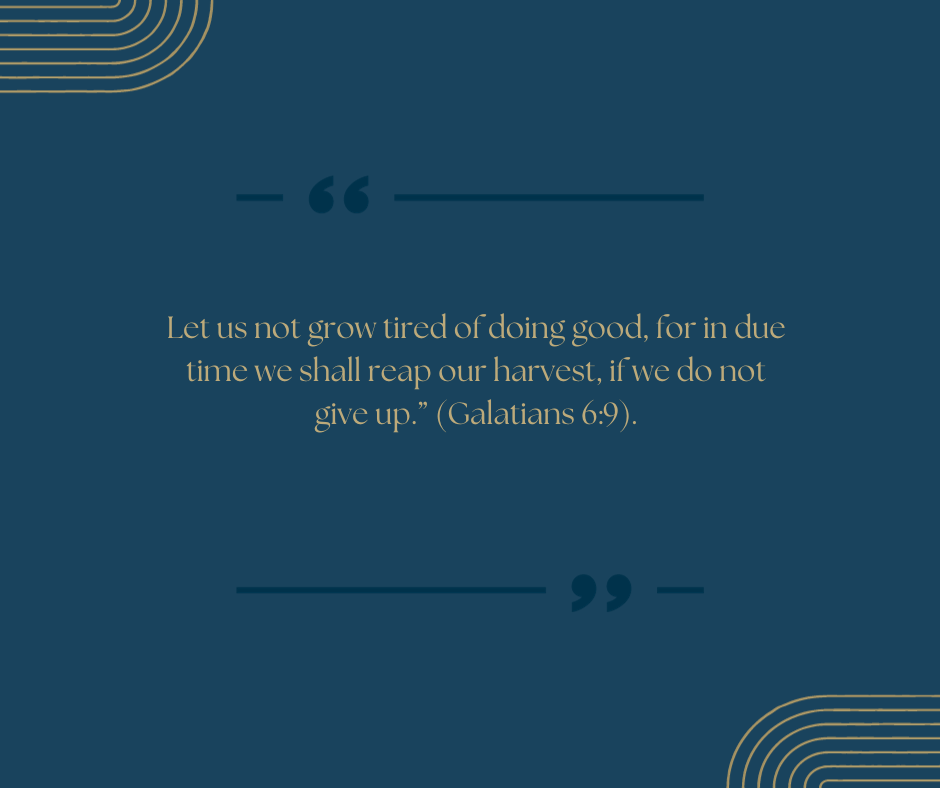 Advent’s Promise