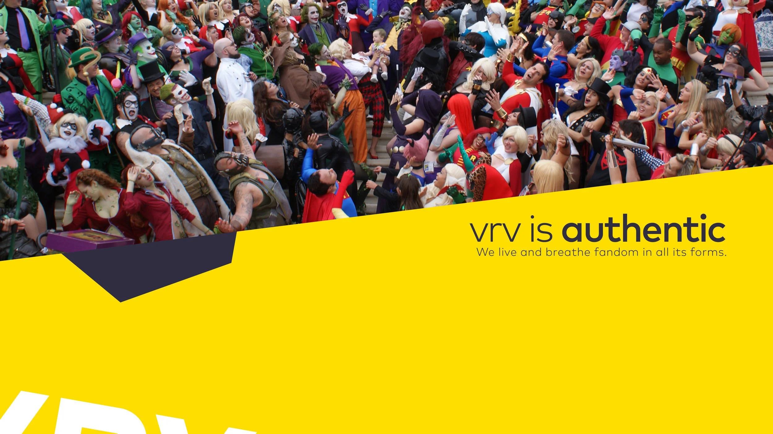 VRV_BrandBook_Alpha1_Deck_16x93.jpg