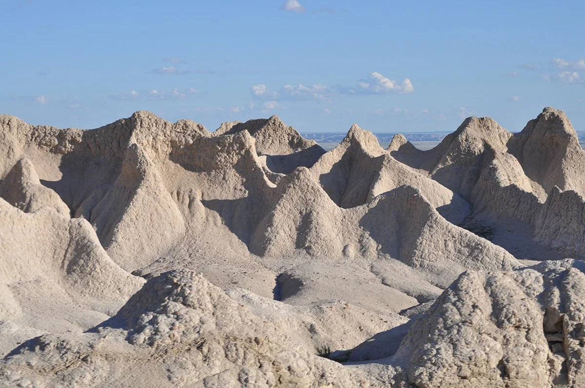 2010 - SD19f web.jpg