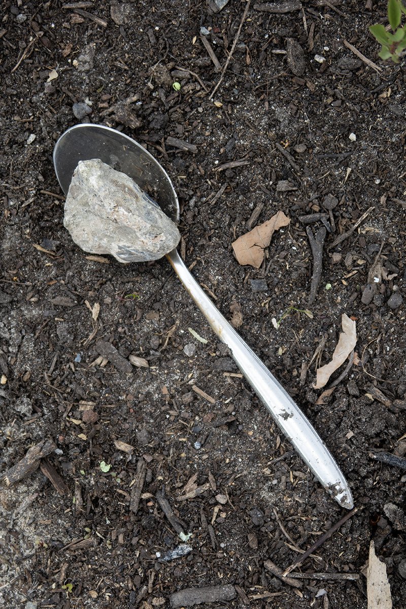 IMG_1288 (2) web.jpg