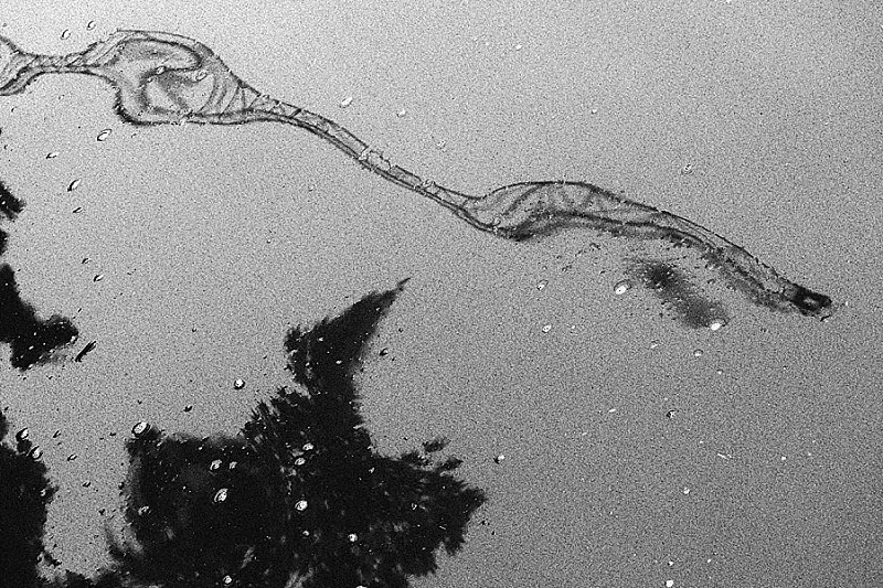 2026-06-19_0001.jpg