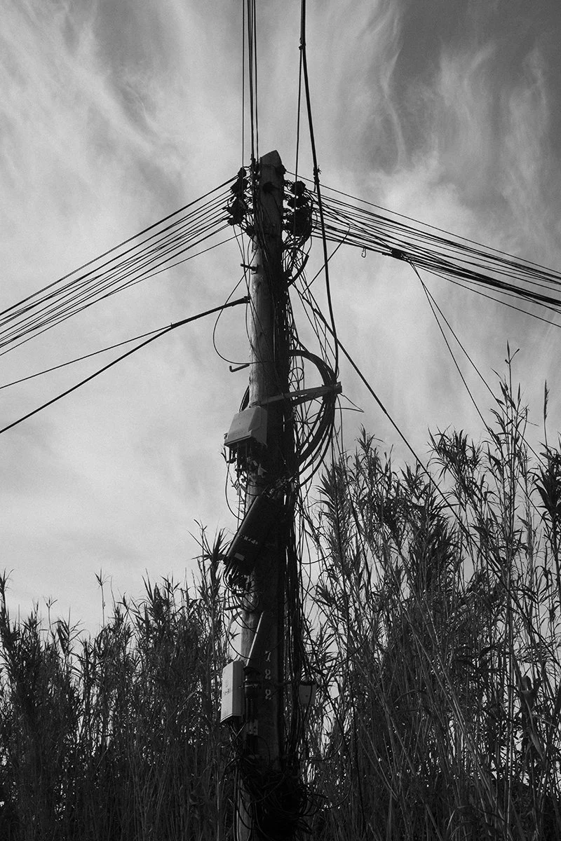 IMG_0465 (2) web.jpg