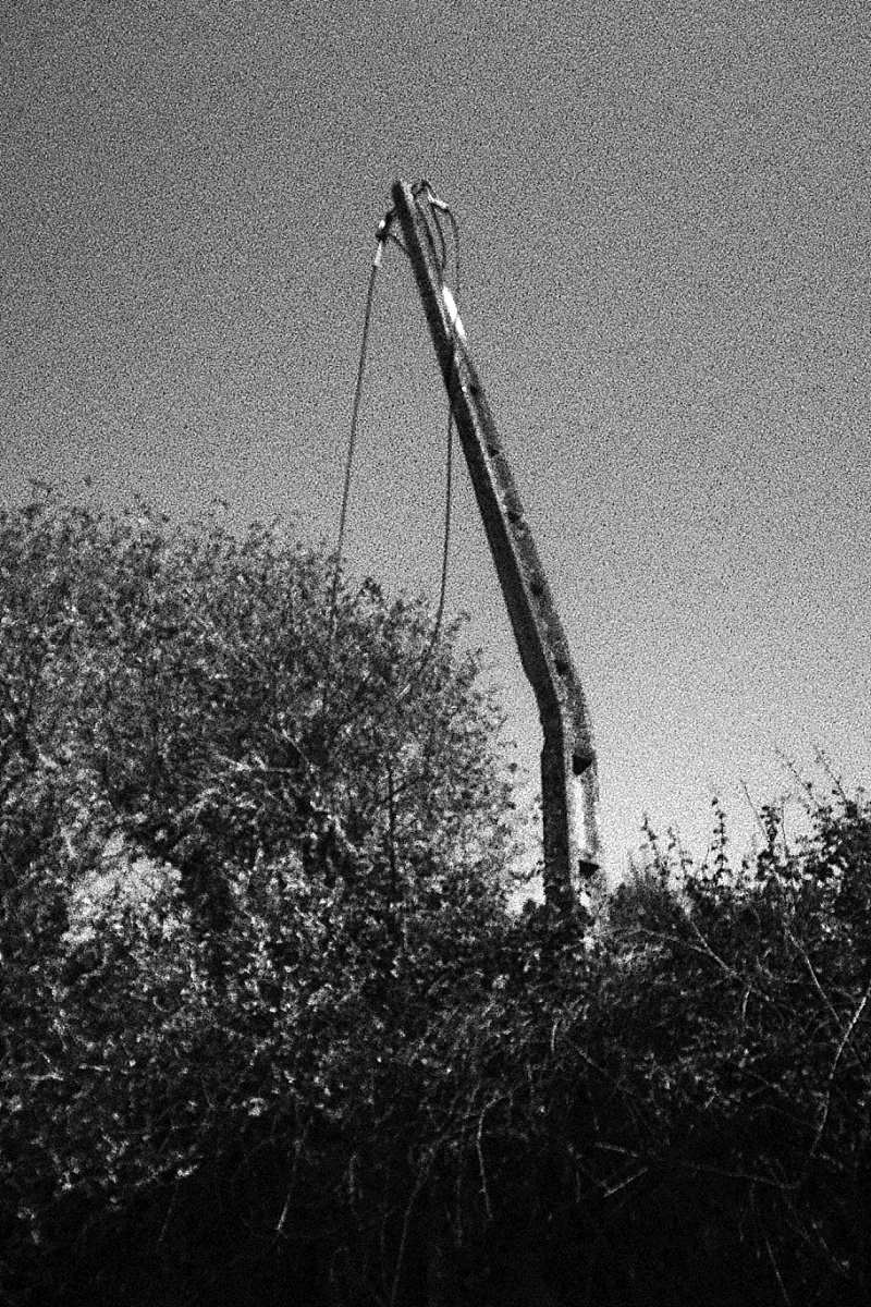 2026-04-20_0006.jpg
