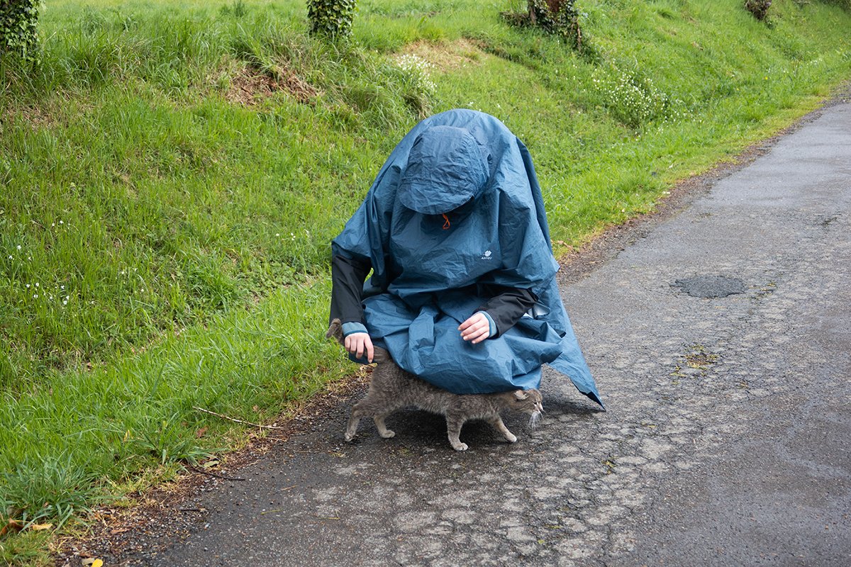 IMG_4076 copy web.jpg