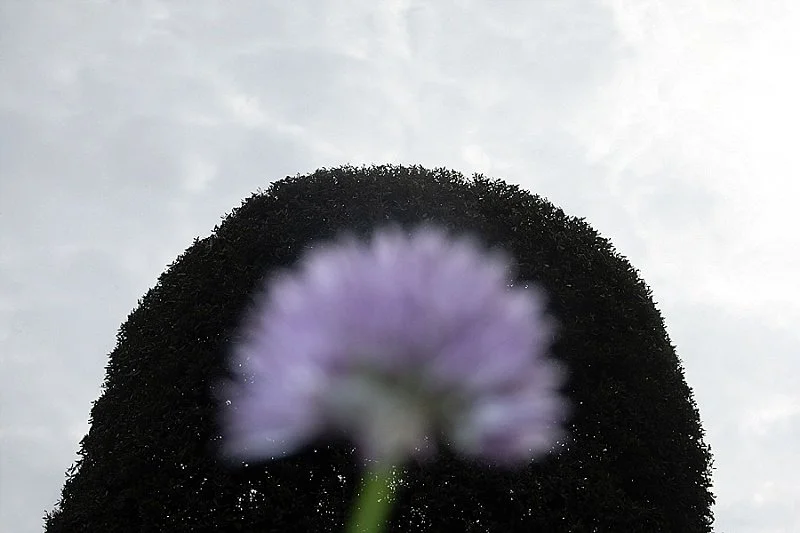 2026-05-31_0003.jpg