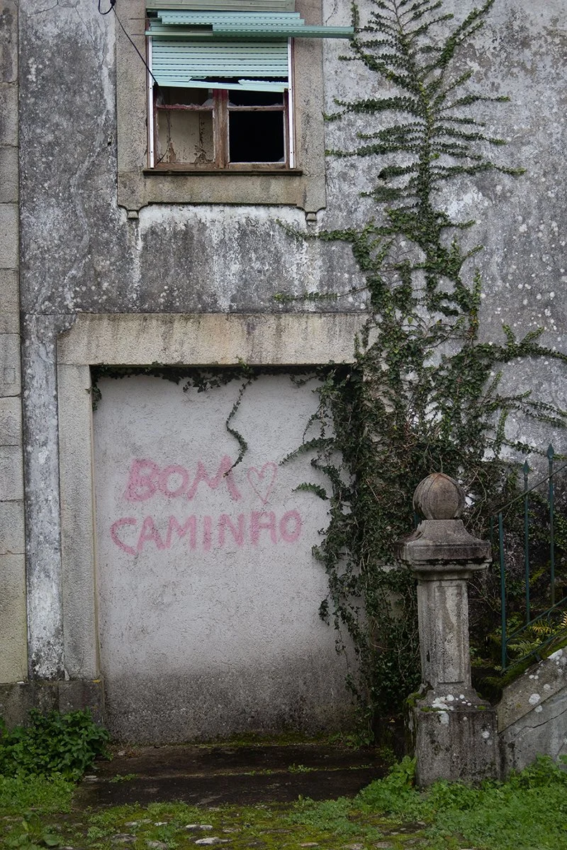 IMG_9911 (2) web.jpg