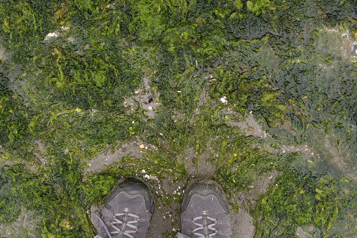 _DSC0289 web.jpg