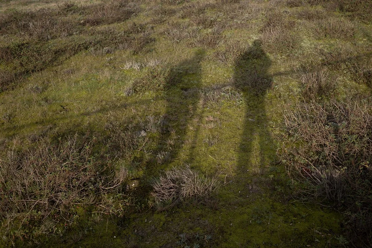 IMG_9599 (2) web.jpg