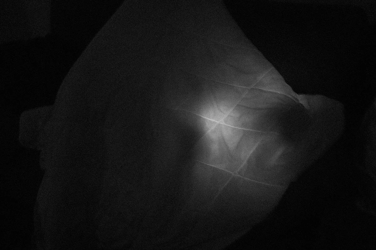 IMG_1123_2 - web.jpg