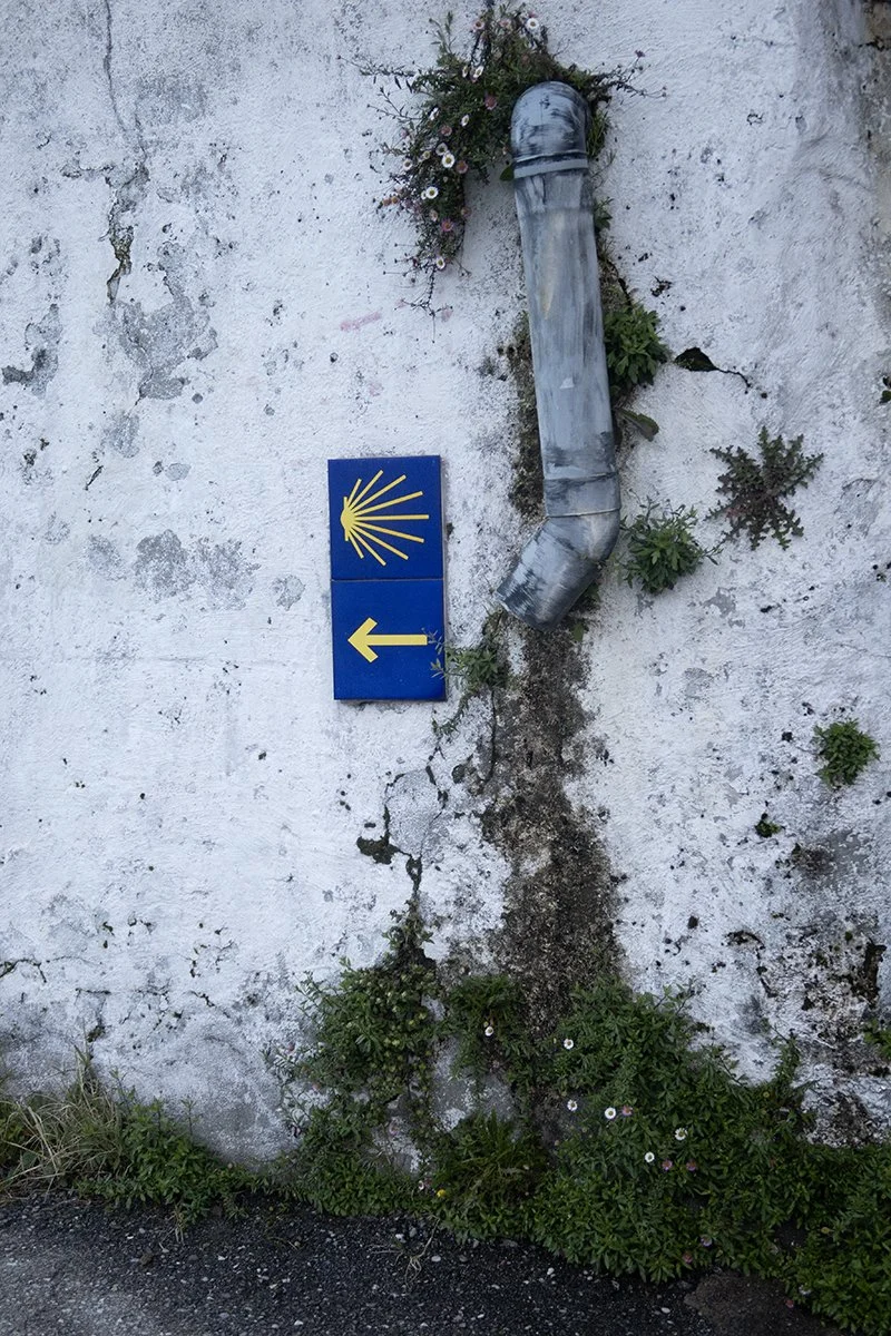 IMG_0666 (2) web.jpg