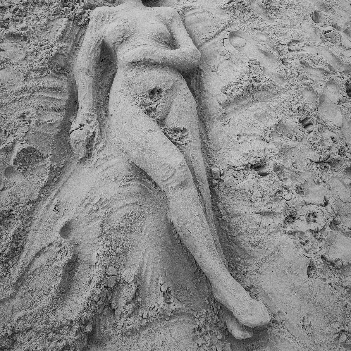 IMG_4290 (2) web.jpg