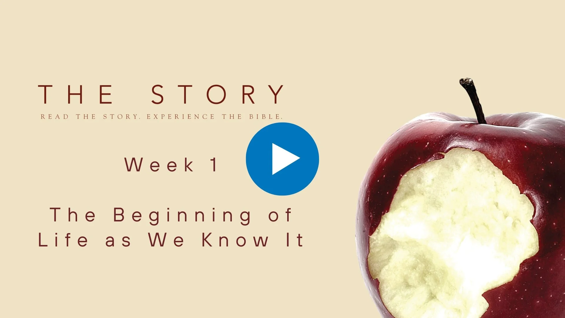 The Story Series: The Beginning of Life as We Know It