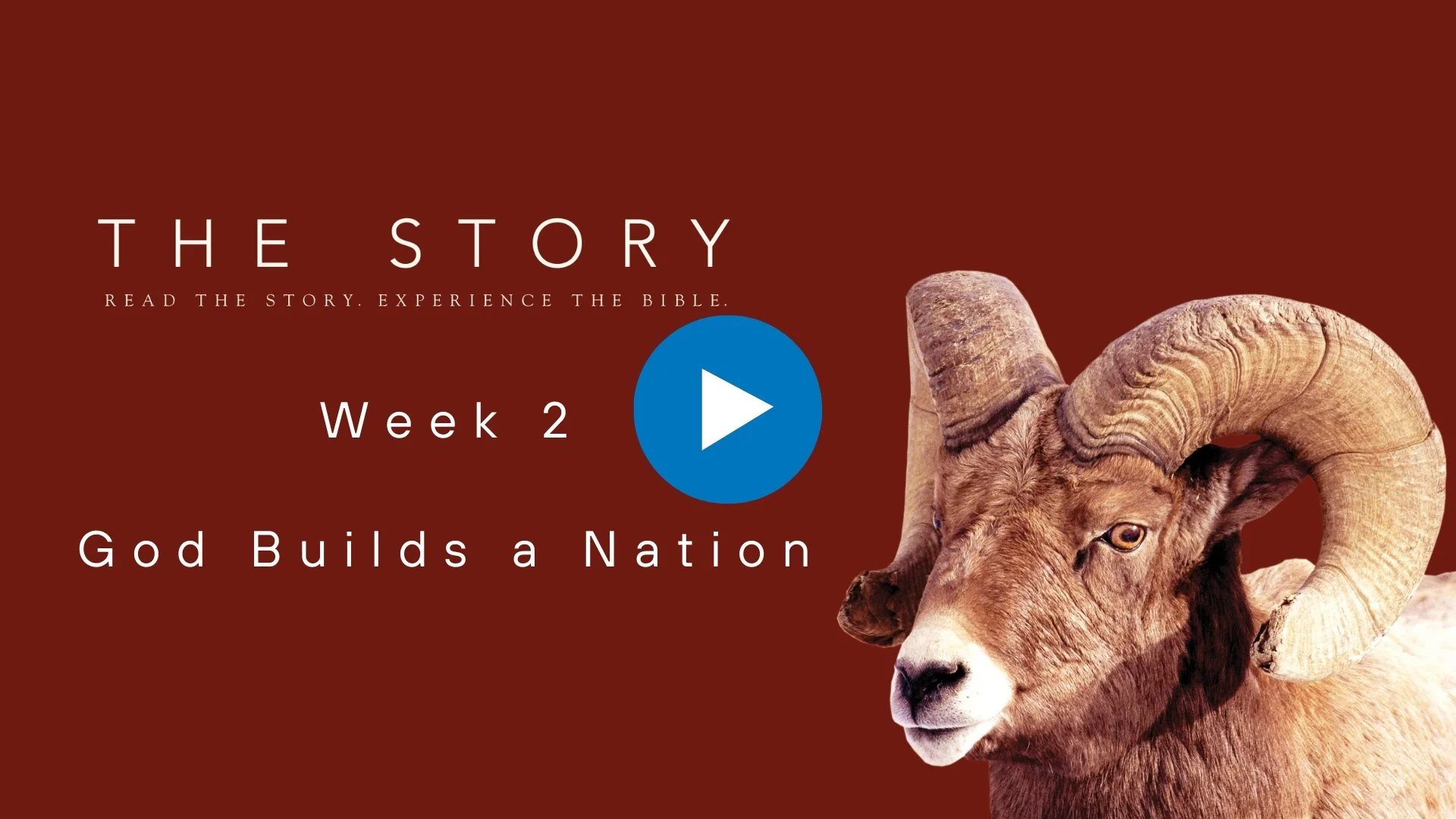 The Story Series: God Builds a Nation