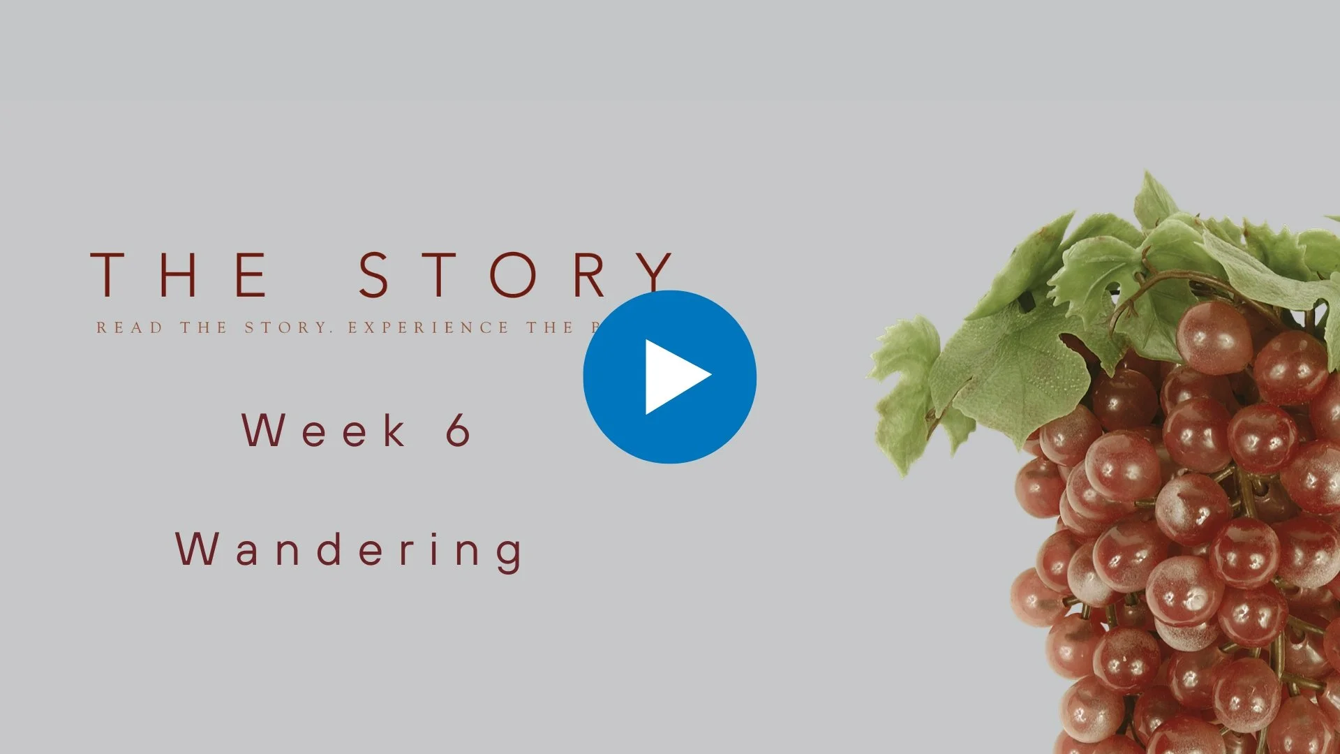 The Story Series: Wandering
