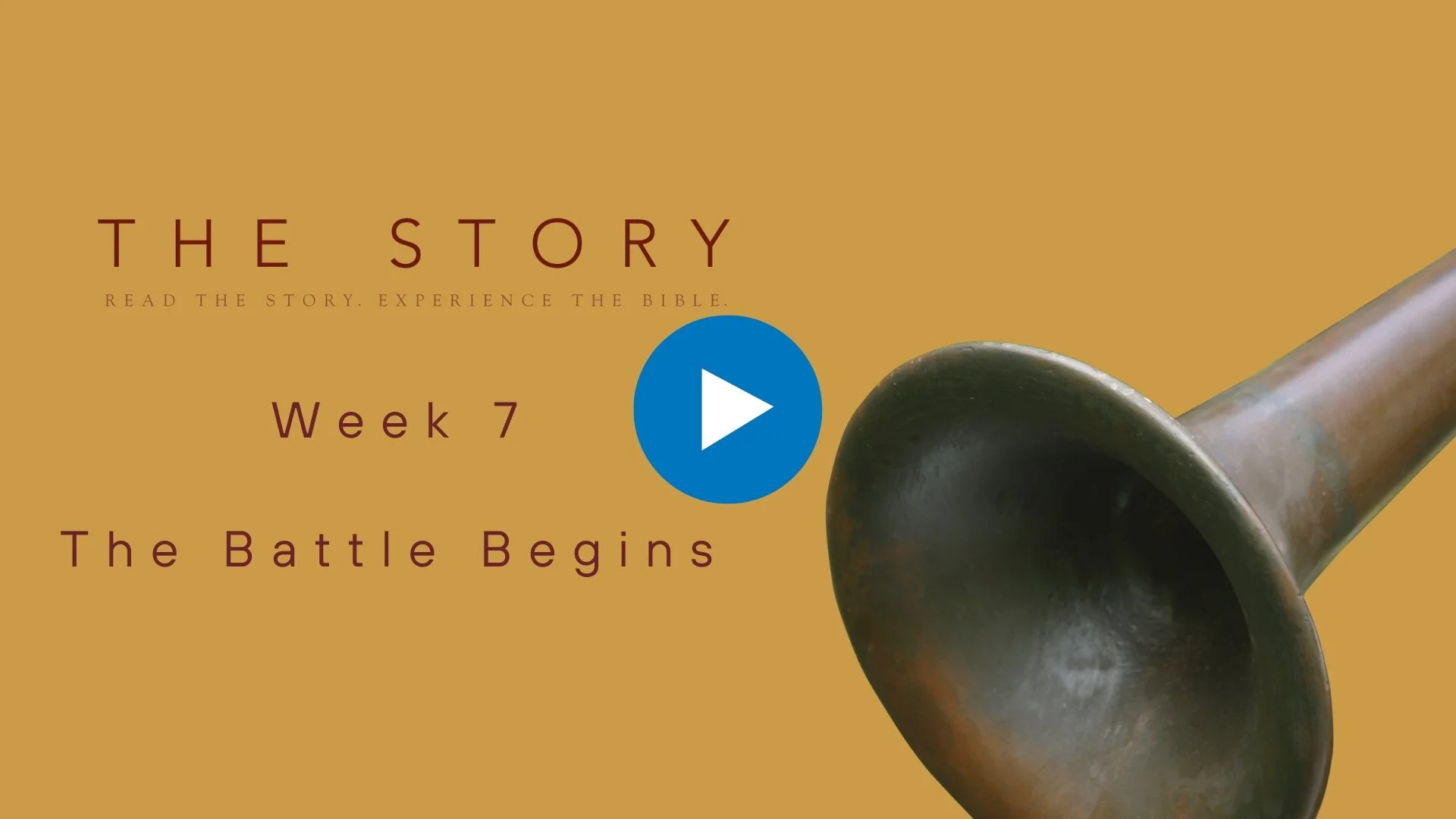 The Story Series: The Battle Begins