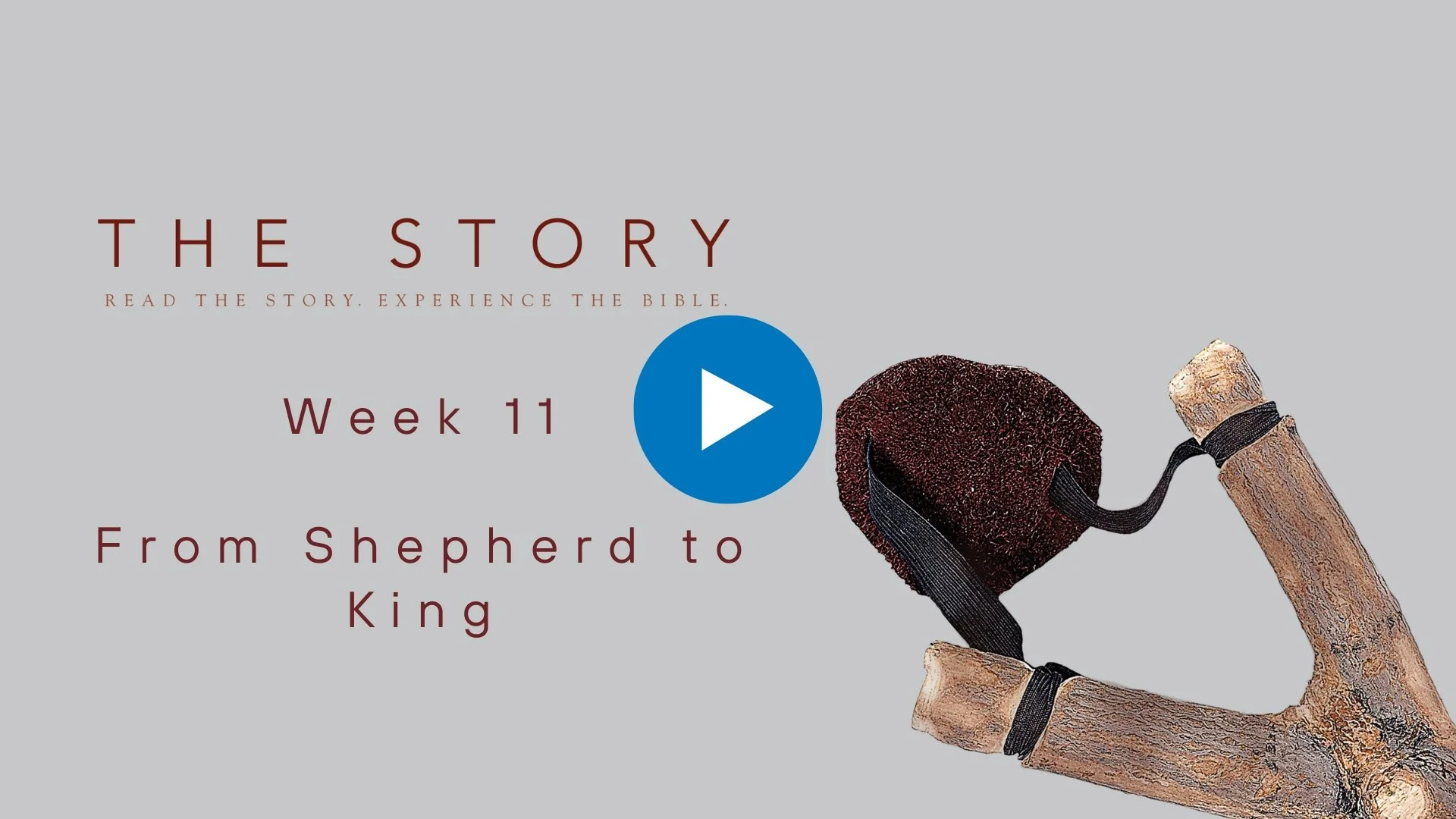 The Story Series: From Shepherd to King