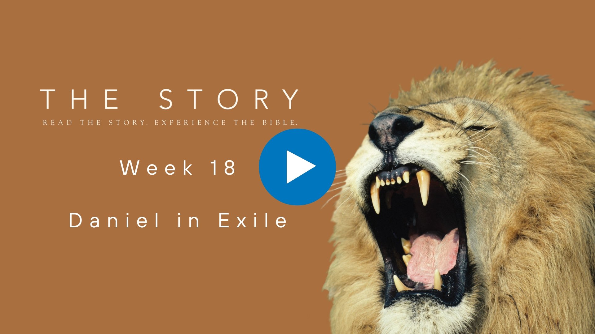 The Story Series: Daniel in Exile