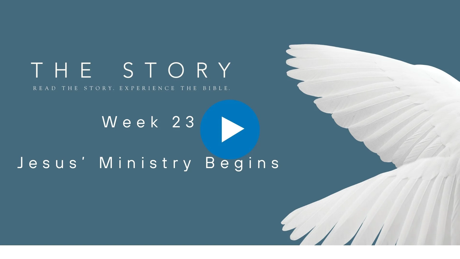 The Story Series: Jesus' Ministry Begins