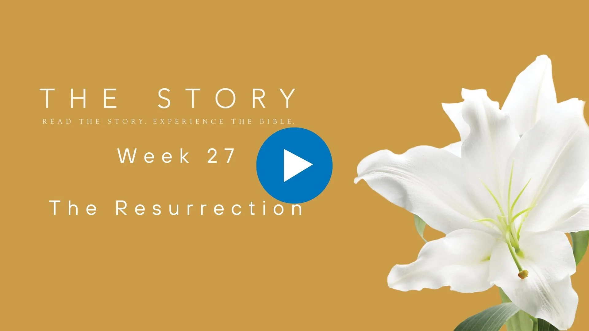 The Story Series: The Resurrection