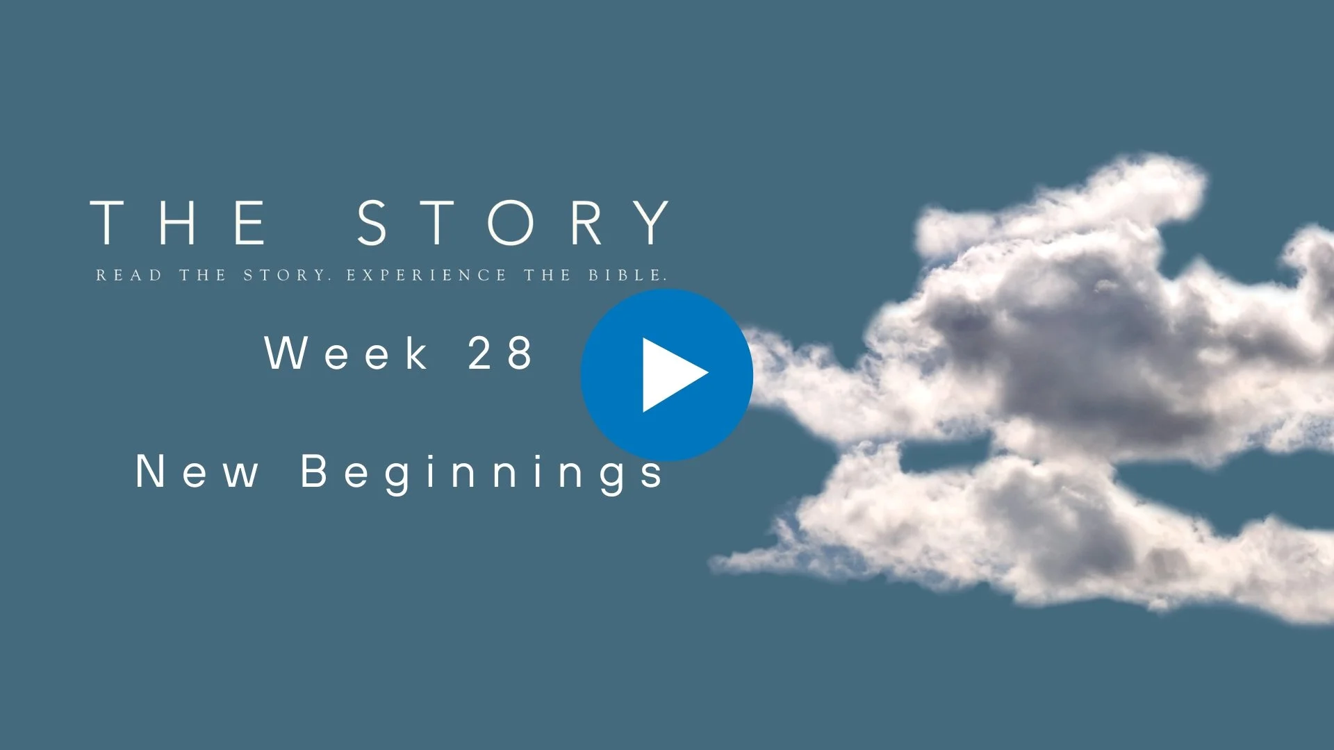 The Story Series: New Beginnings