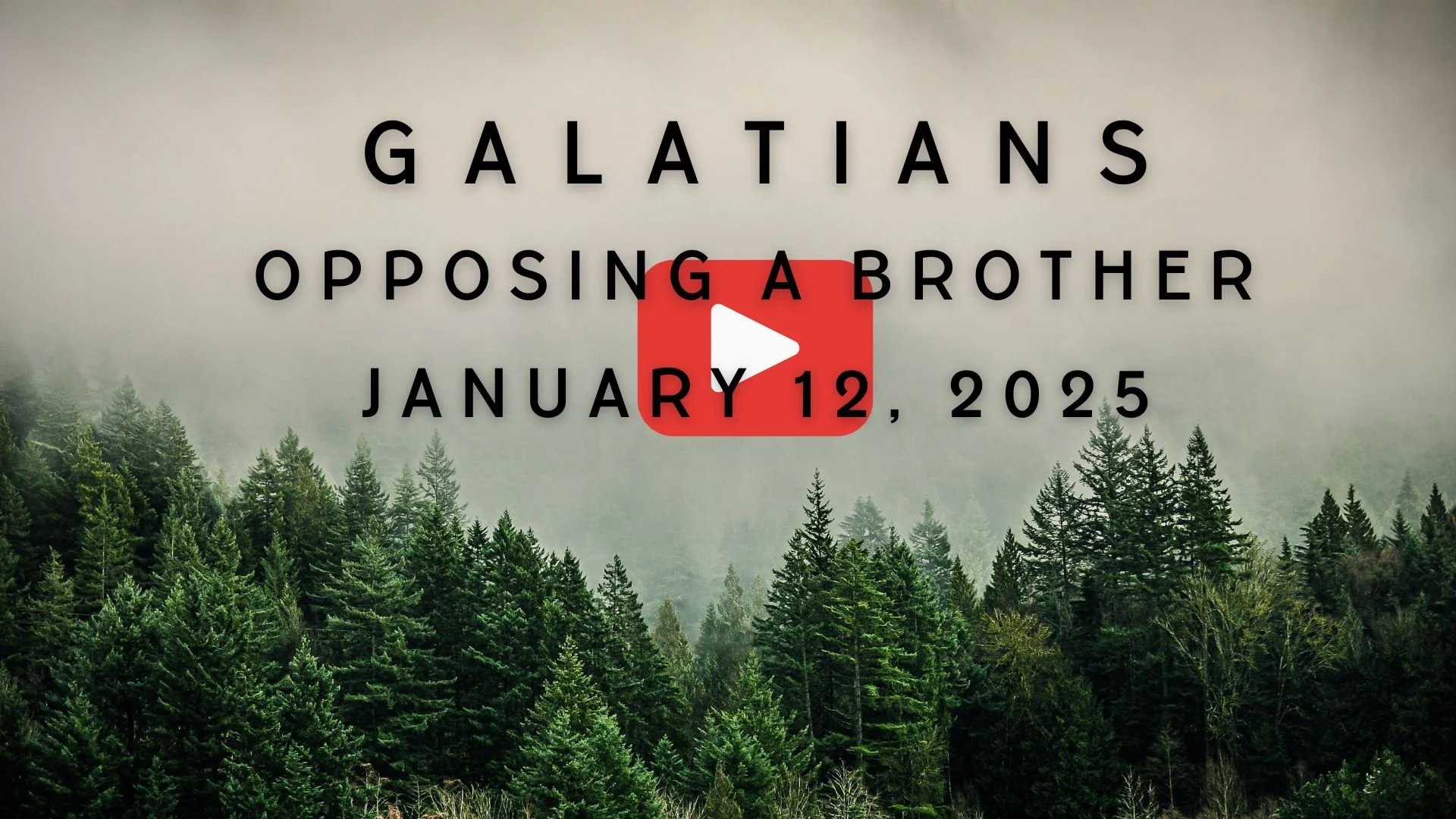 Galatians: Opposing a Brother