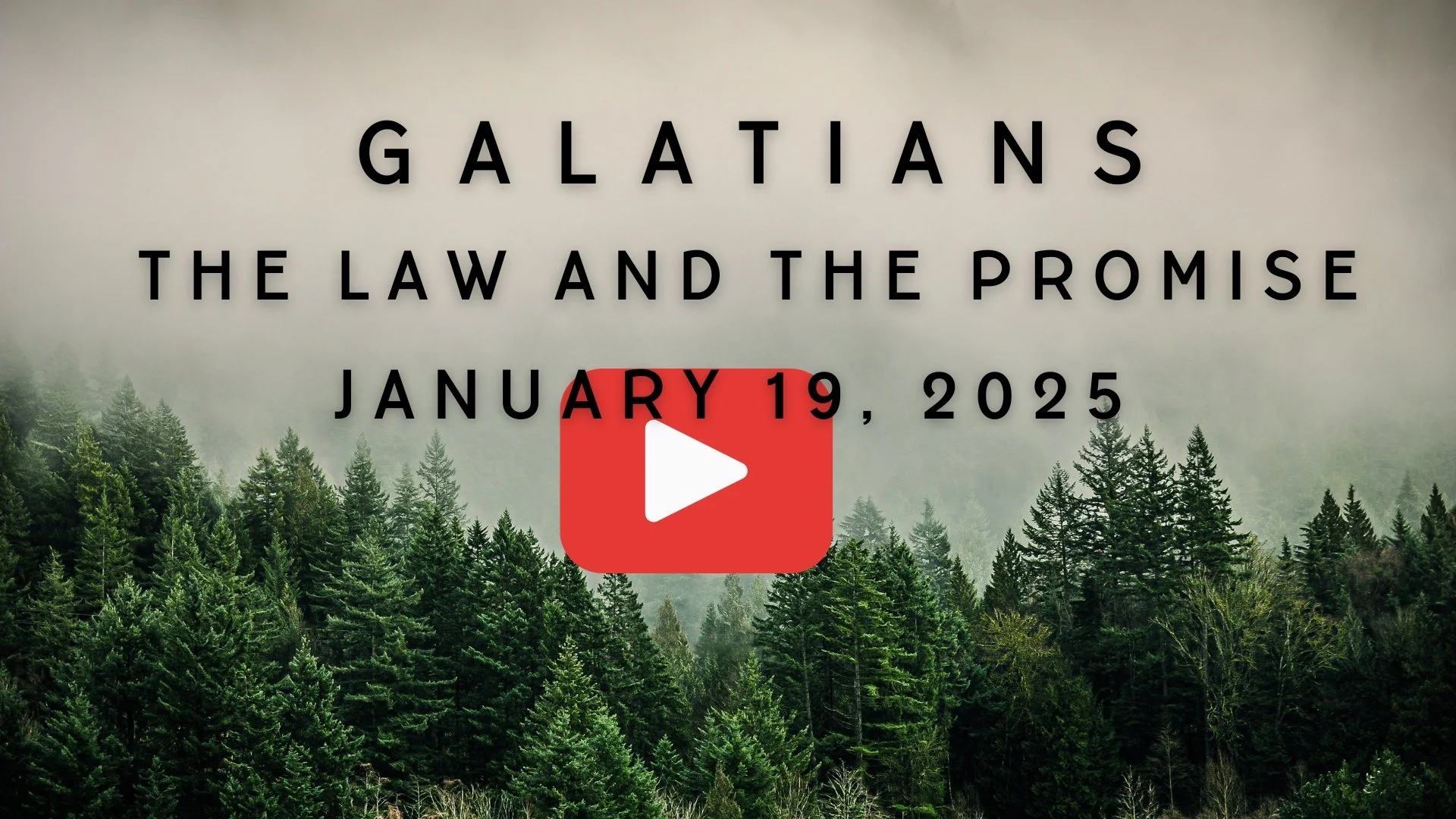 Galatians: The Law and the Promise