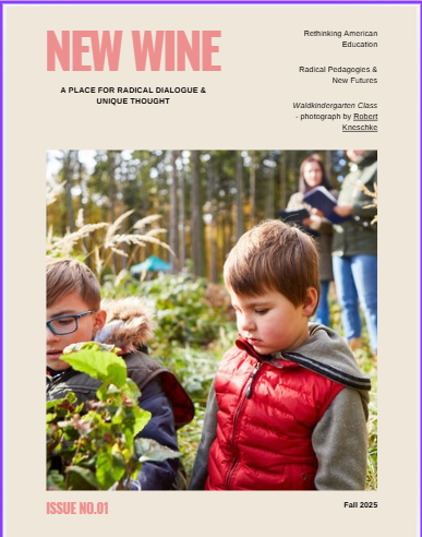 Radical Pedagogies &amp; New Futures