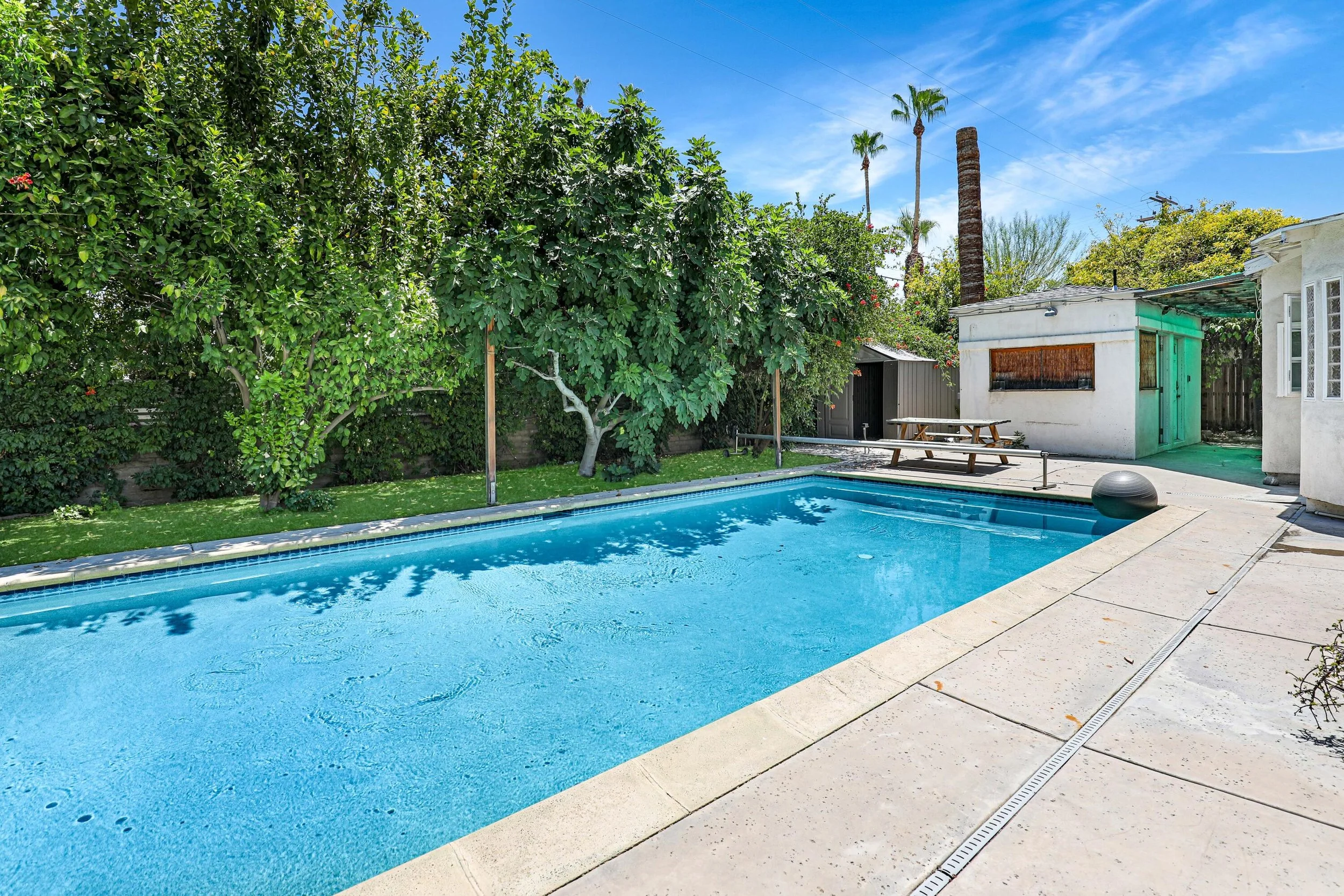 Backyard 3.jpg