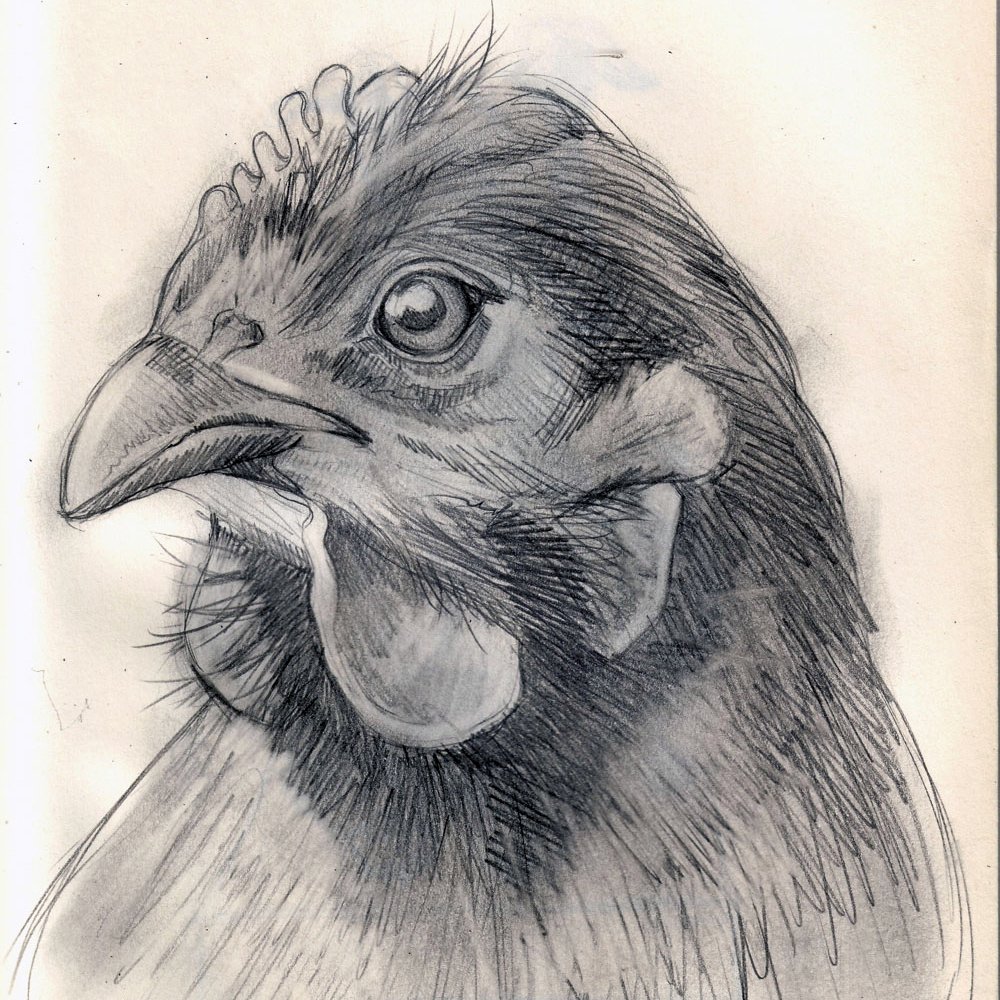 Sketches from Philly