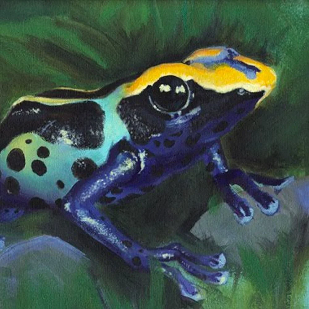 Work from the studio